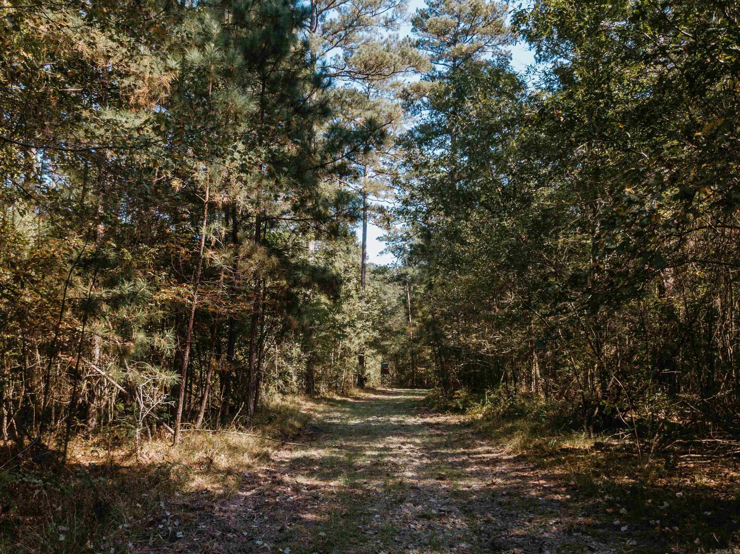 000 Opitz Road