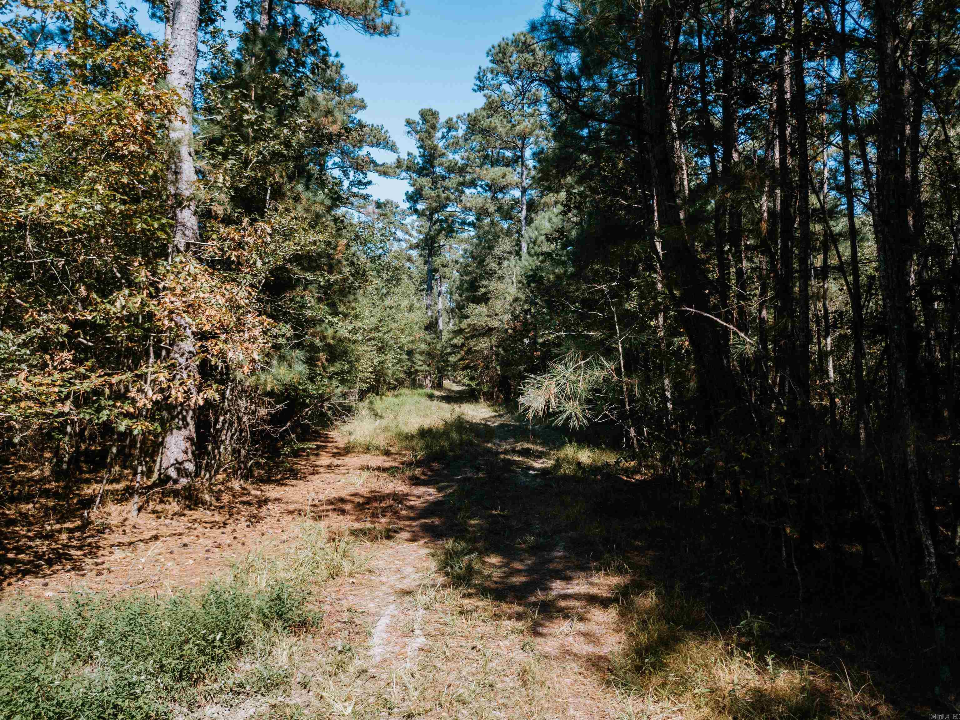 000 Opitz Road