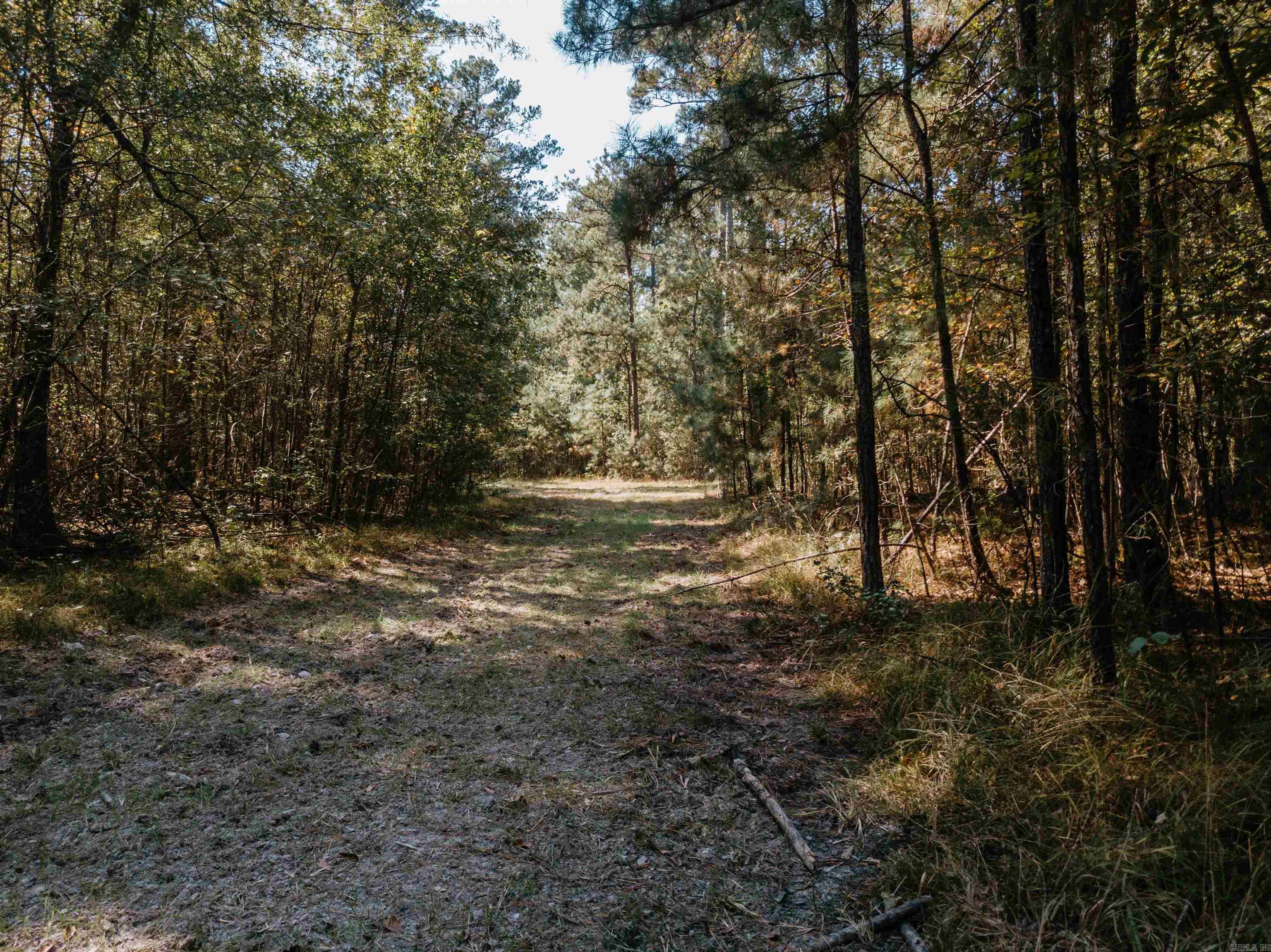000 Opitz Road