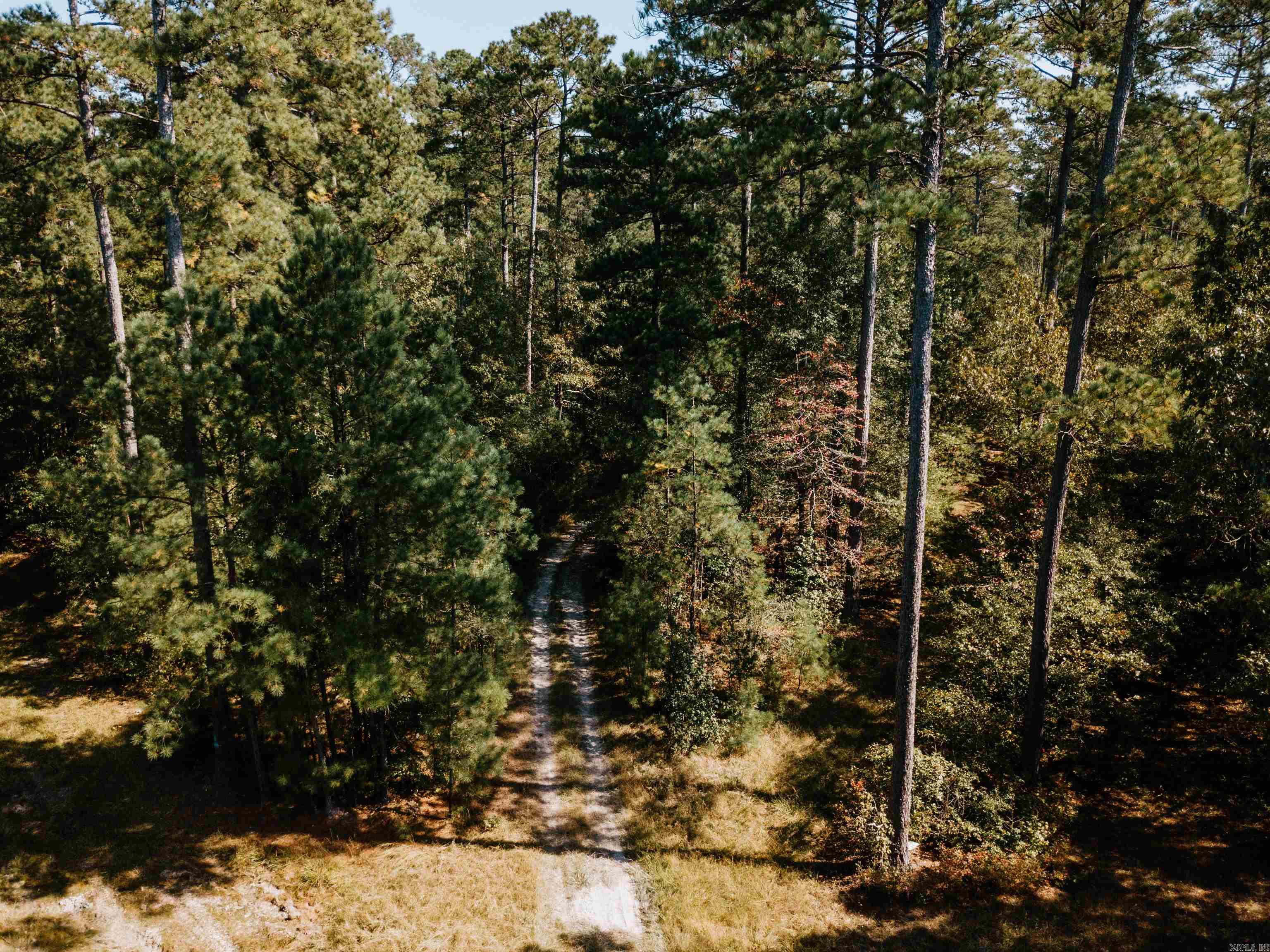 000 Opitz Road