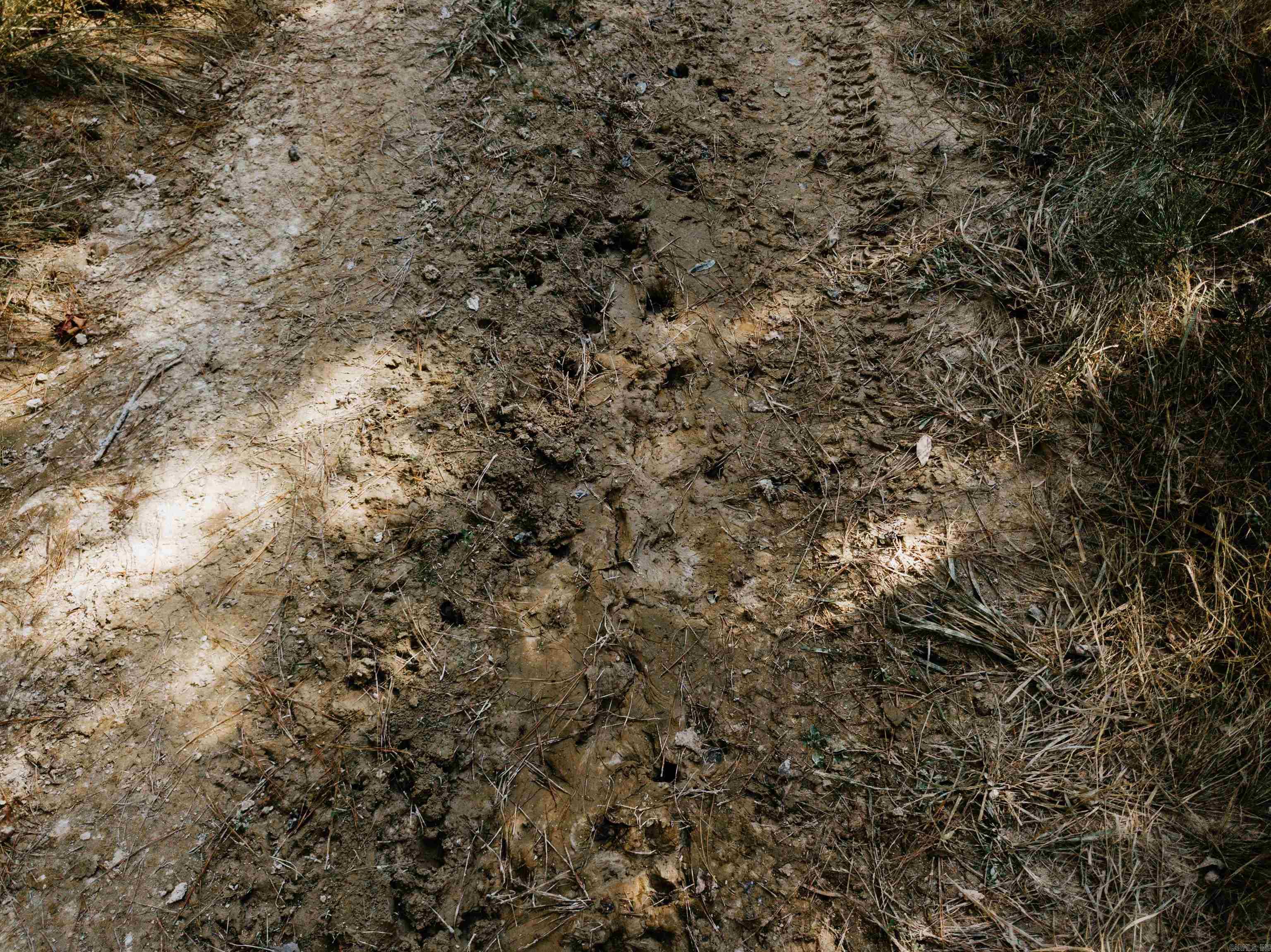000 Opitz Road