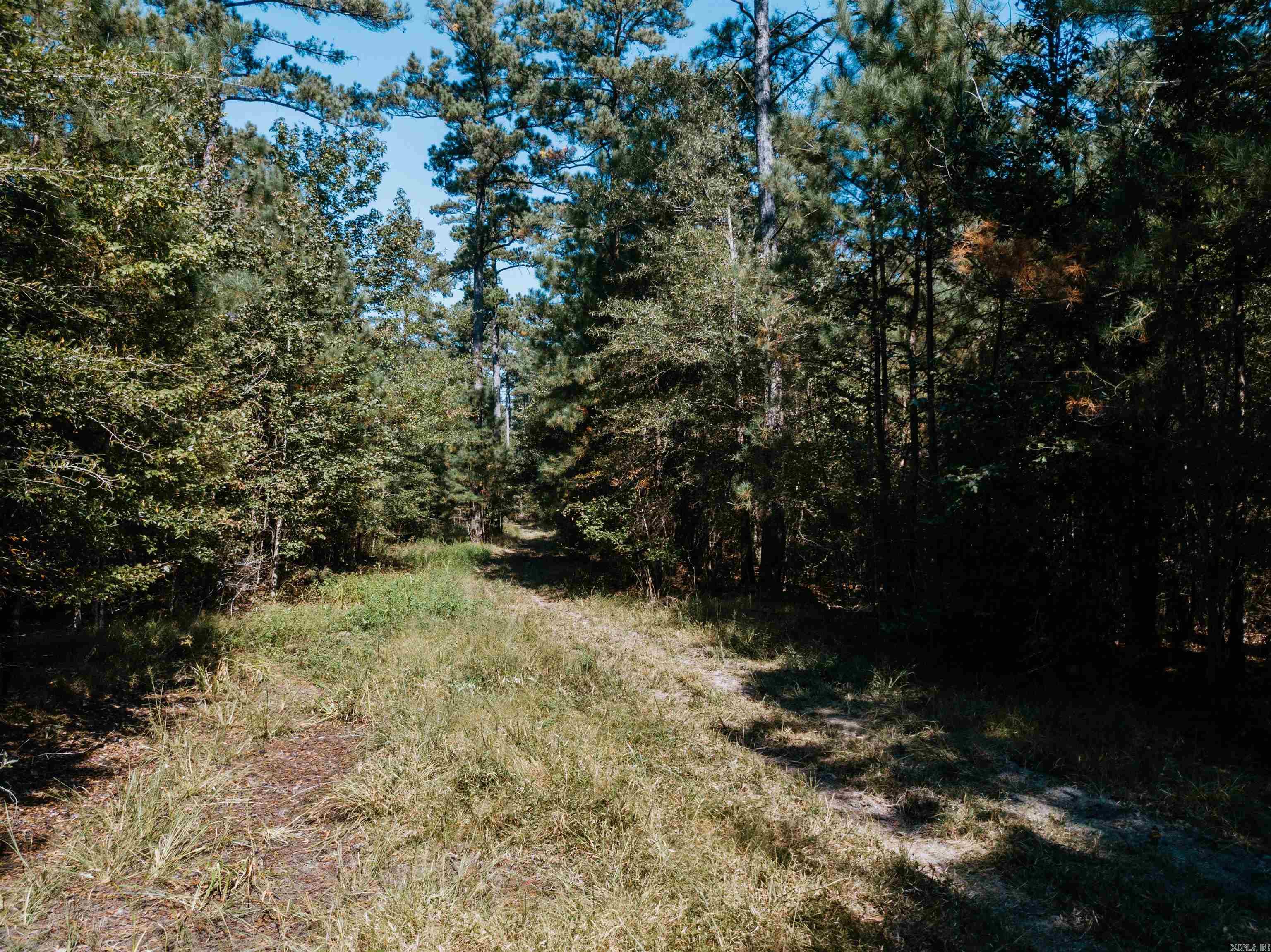 000 Opitz Road