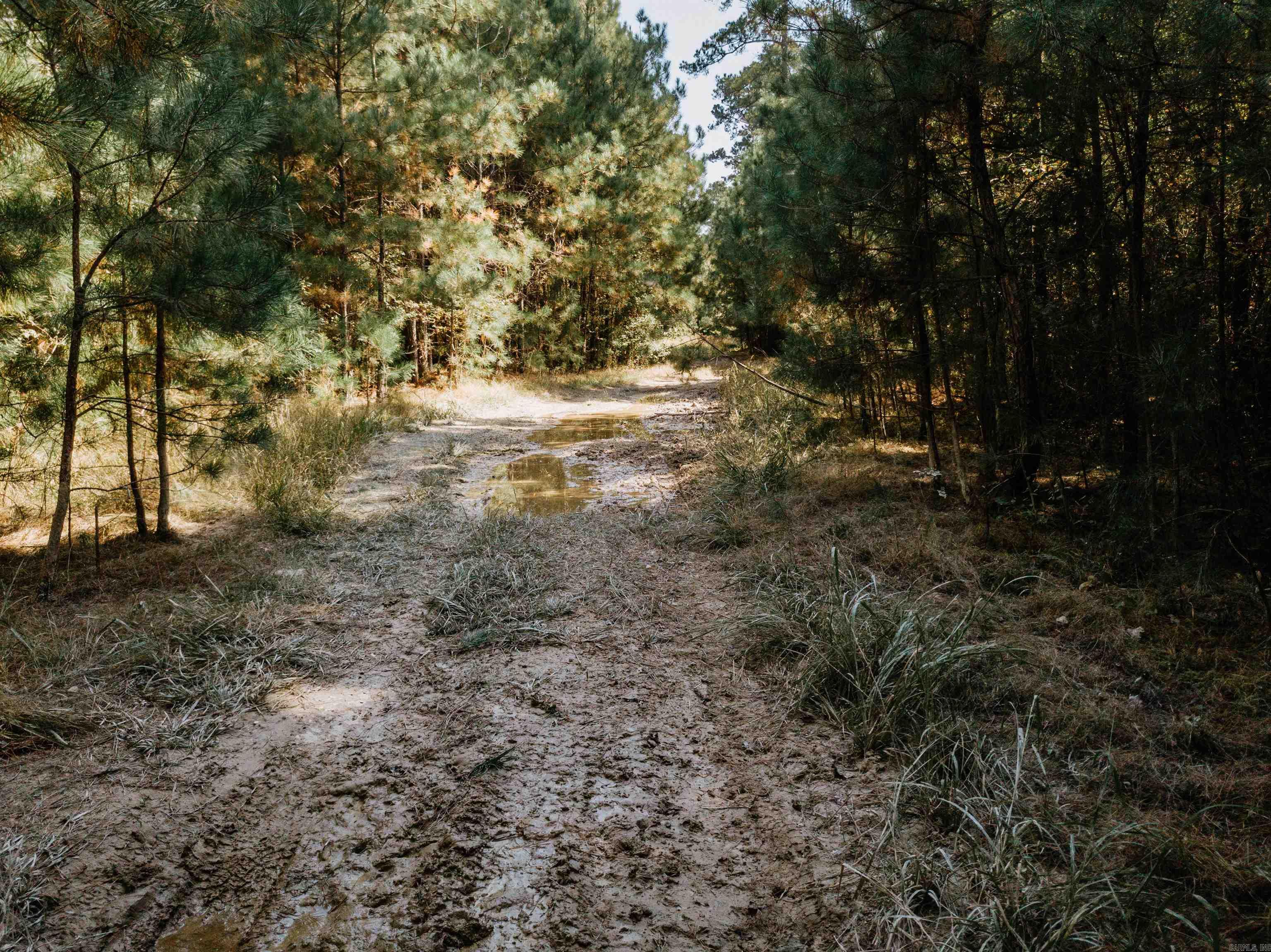 000 Opitz Road