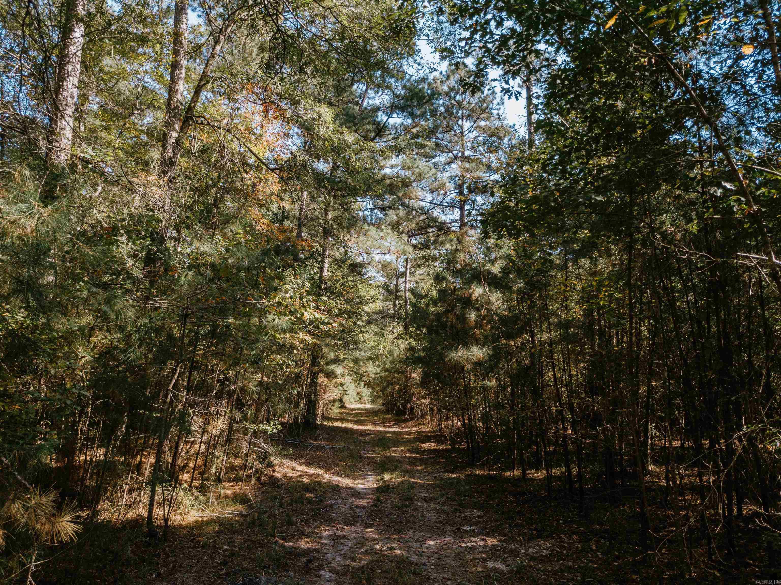 000 Opitz Road