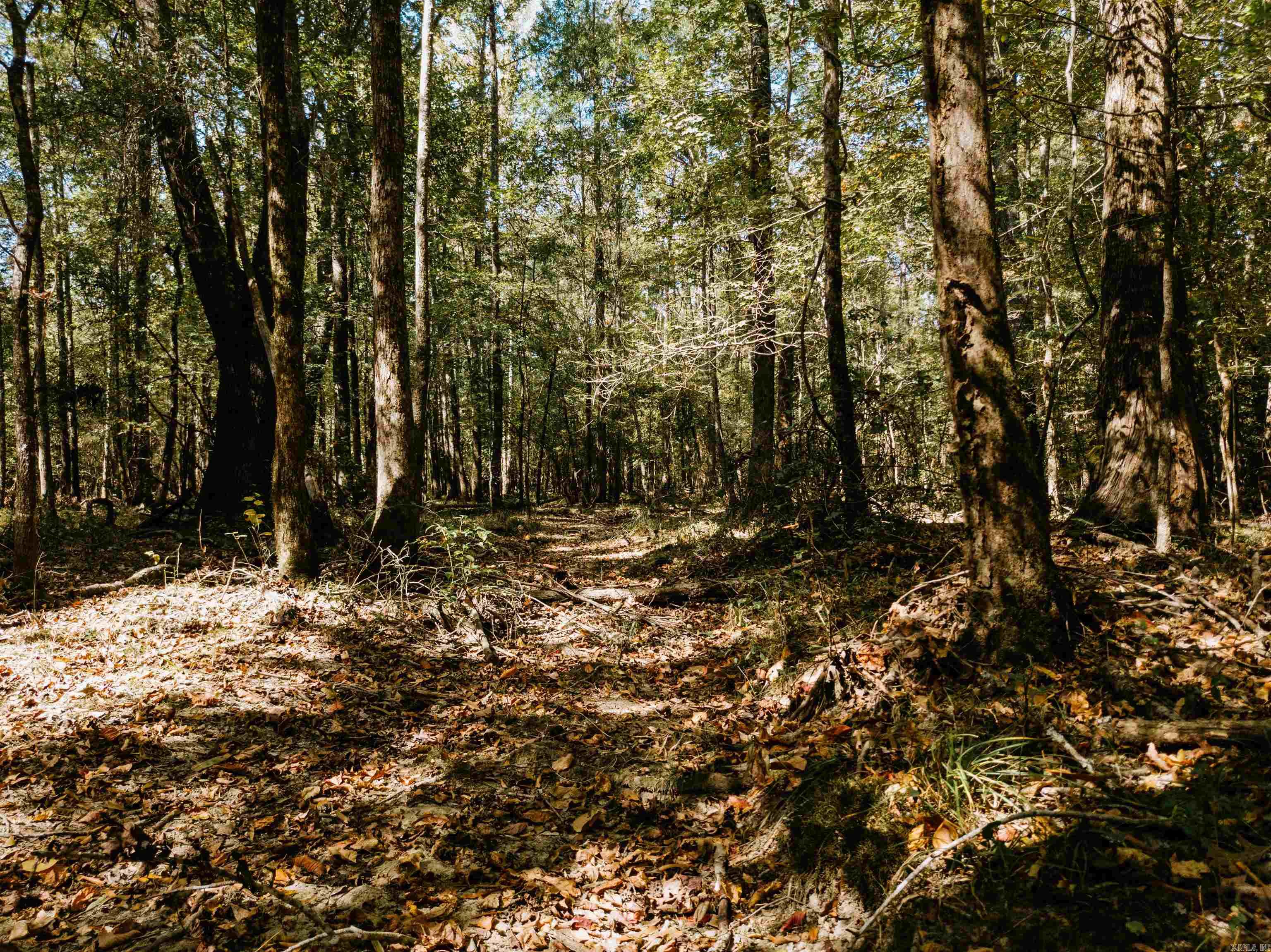 000 Opitz Road