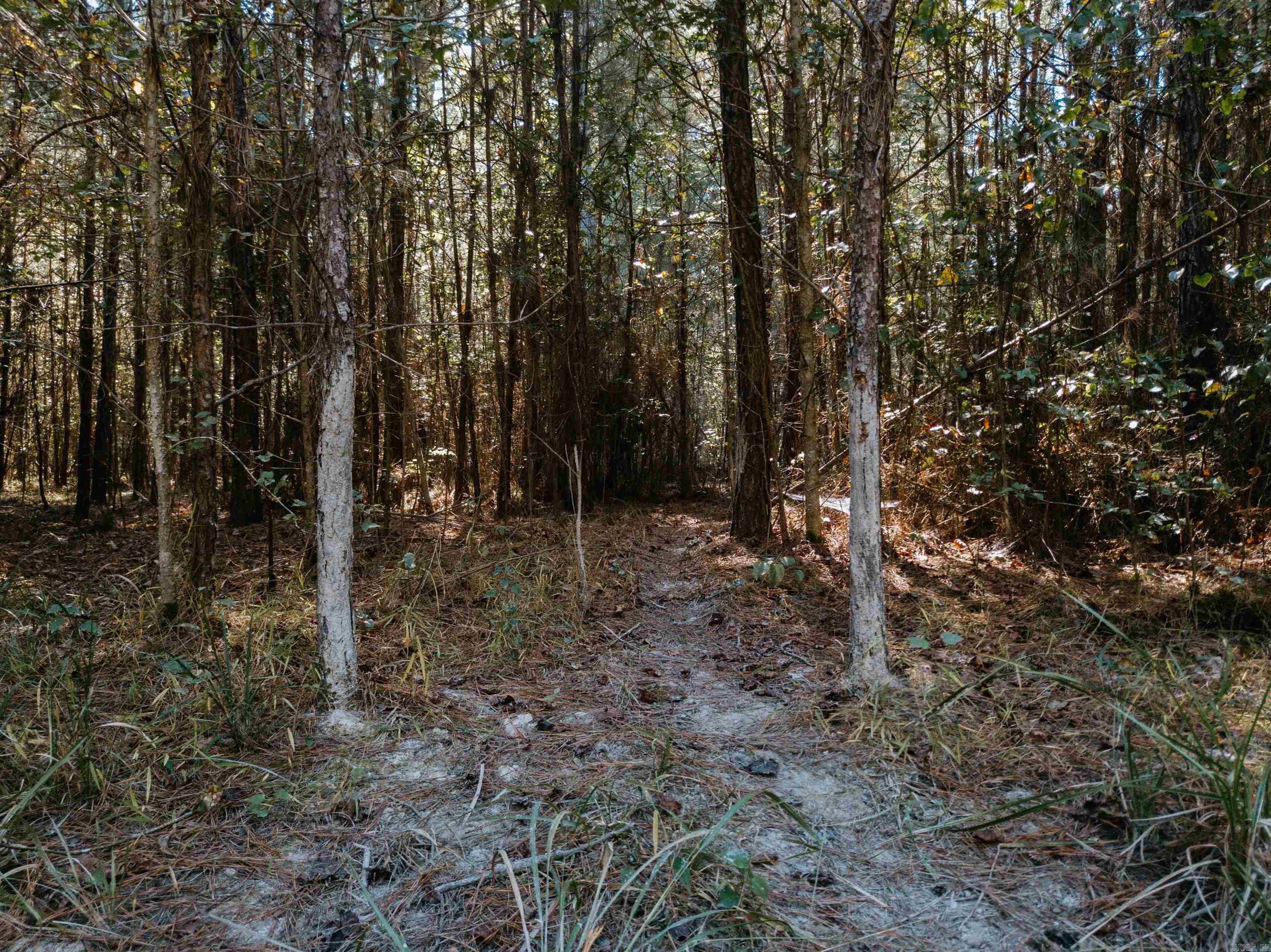 000 Opitz Road