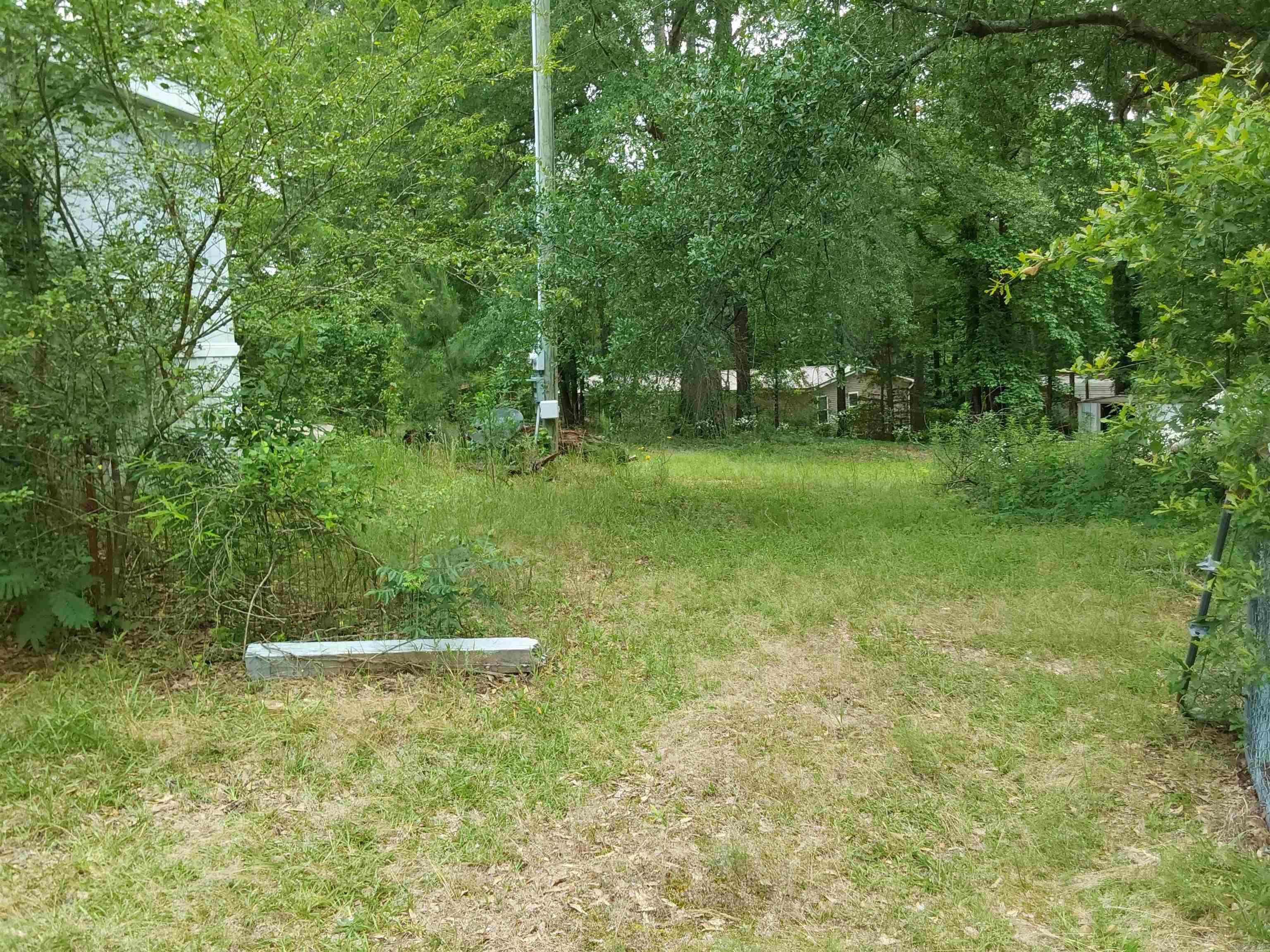 11018 Billy Williams Drive