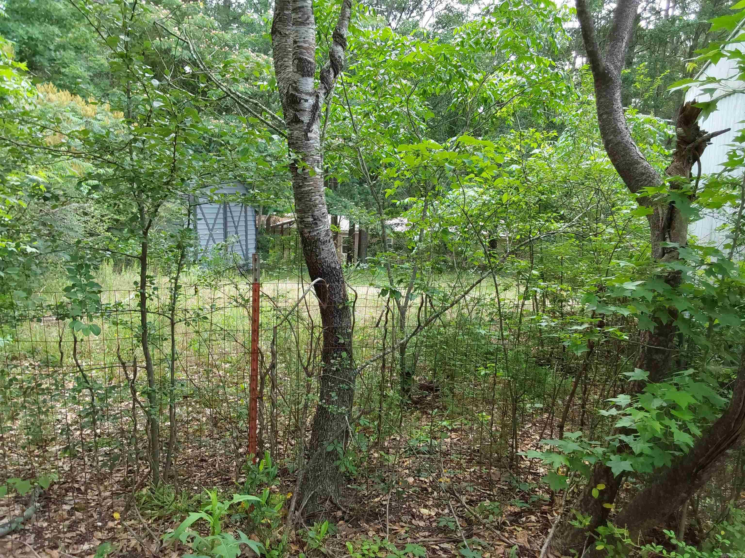 11018 Billy Williams Drive