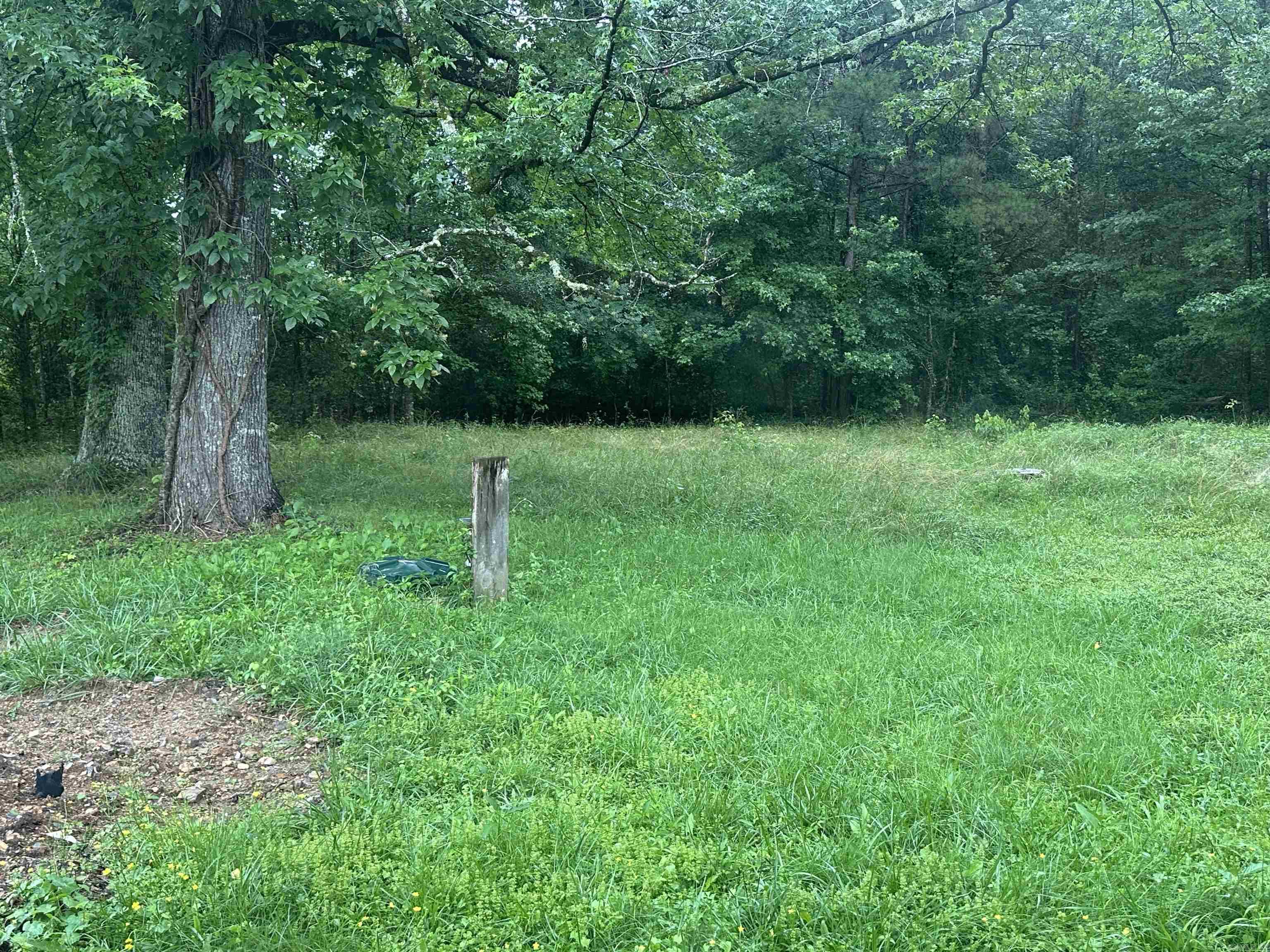 109 Randallwood Drive