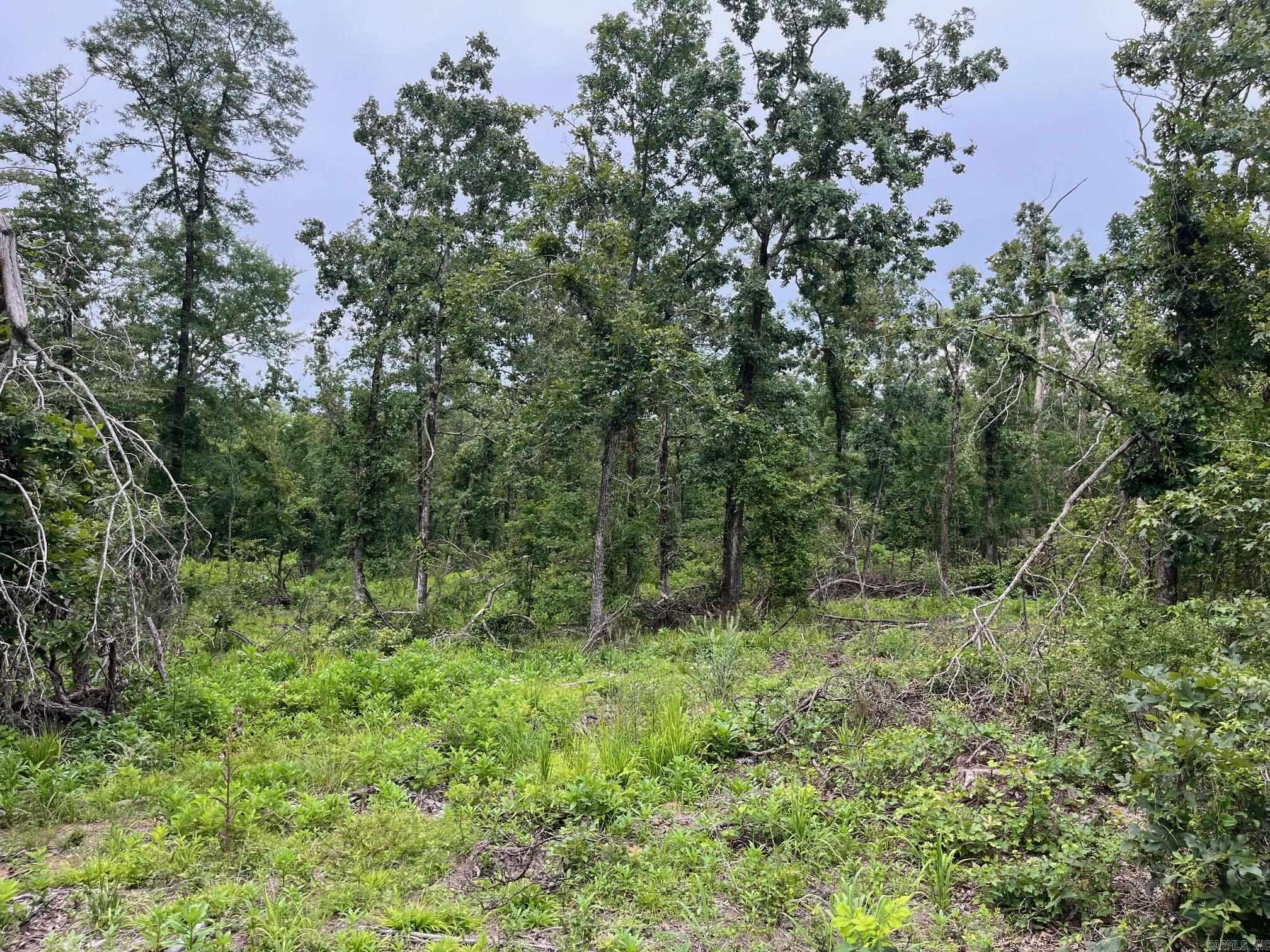 TBD Shouse Ford Road