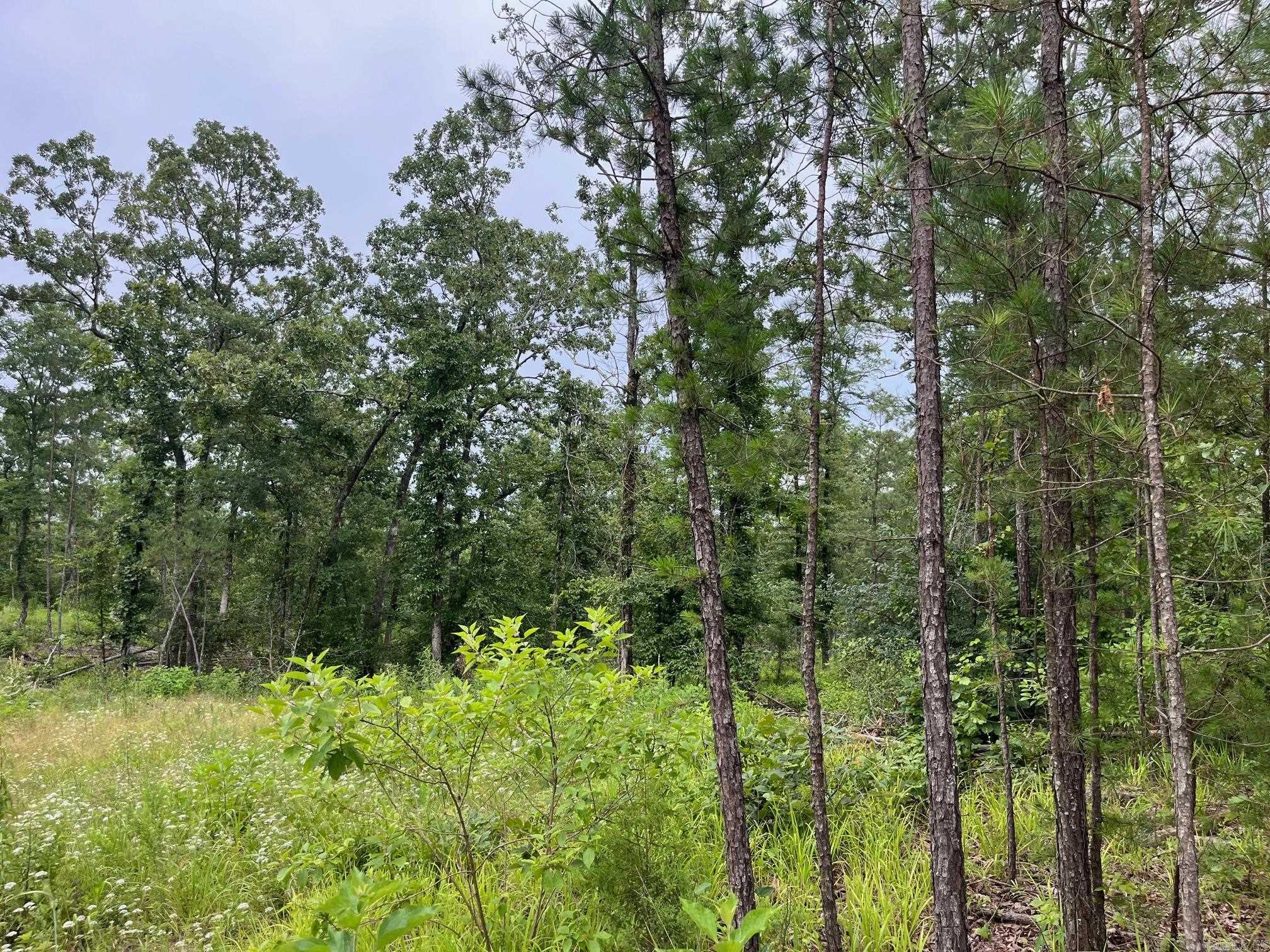 TBD Shouse Ford Road