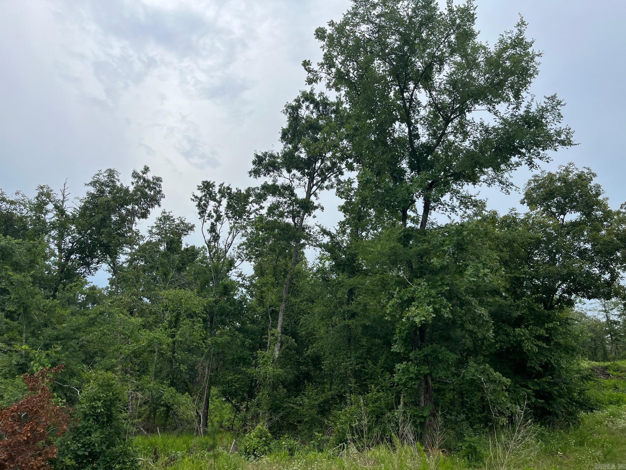 TBD Shouse Ford Road