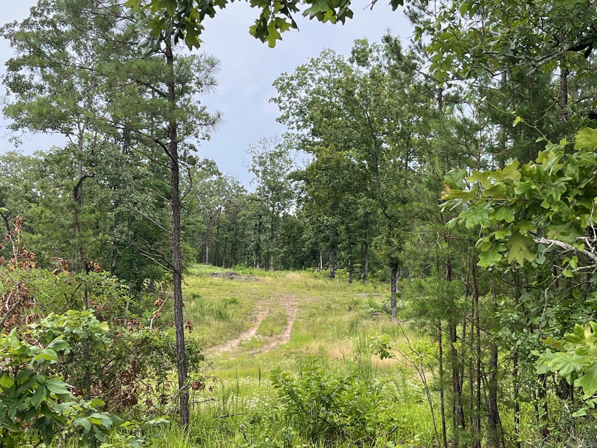 TBD Shouse Ford Road