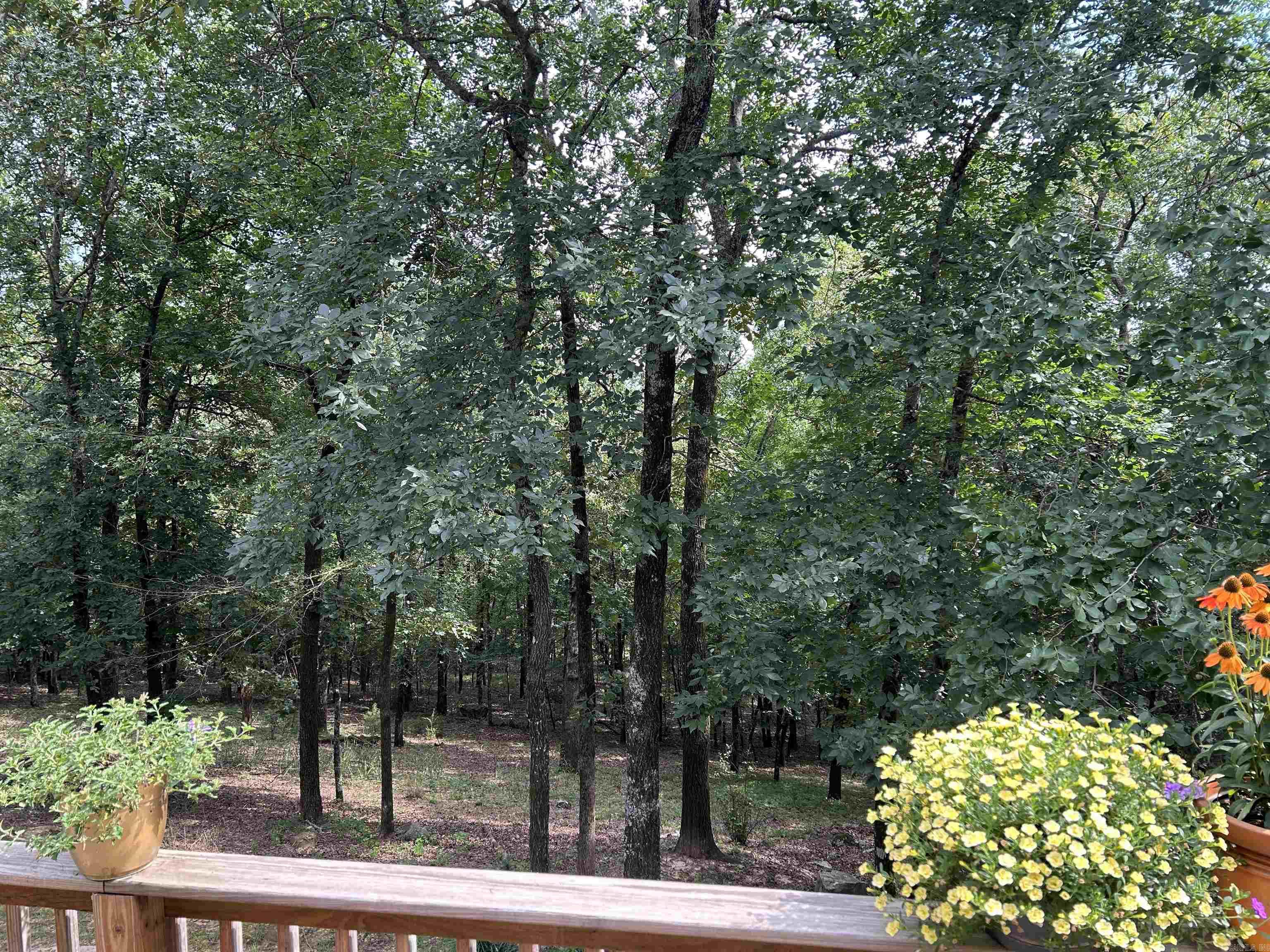 49 Caddo Drive