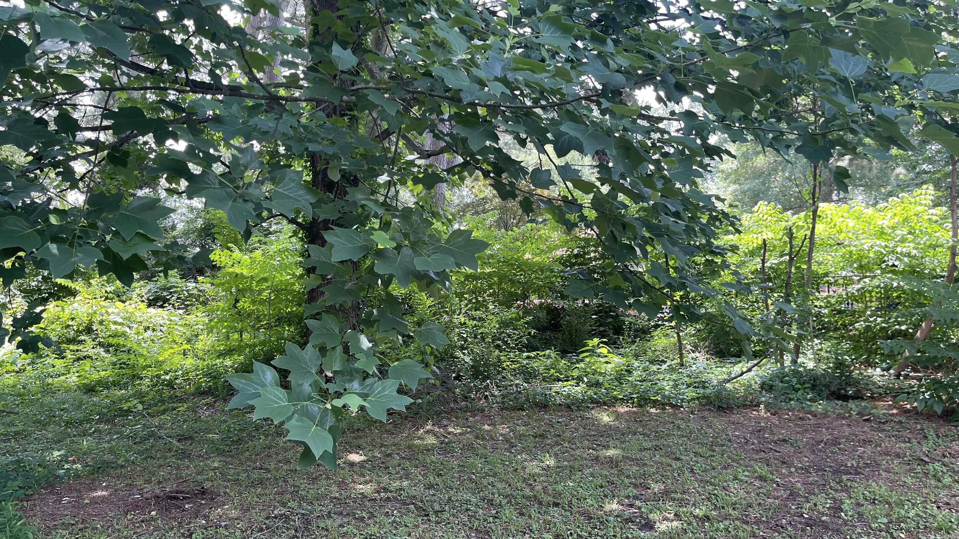 1909 Fernwood Cove