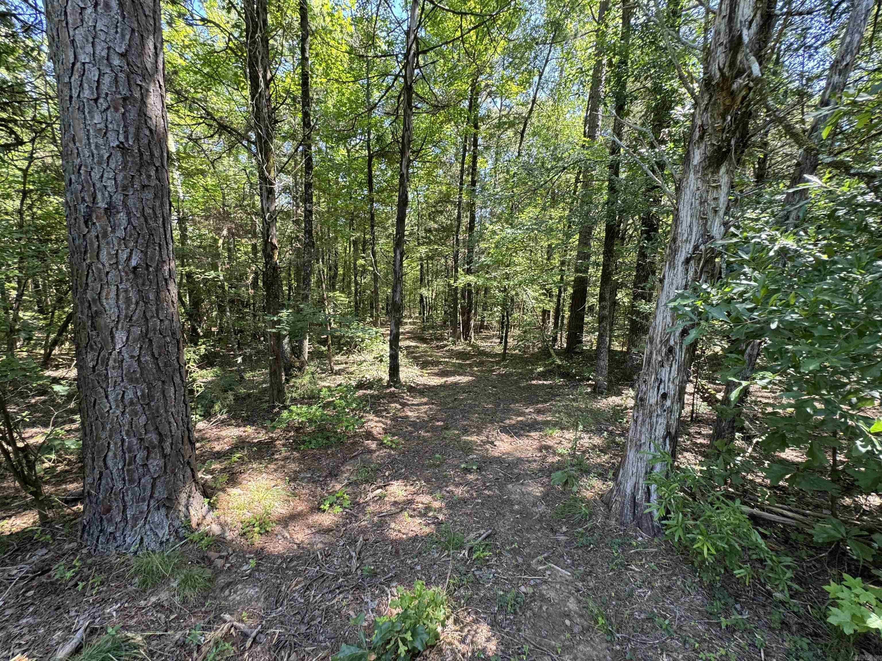 Tract 1 Waterside Drive