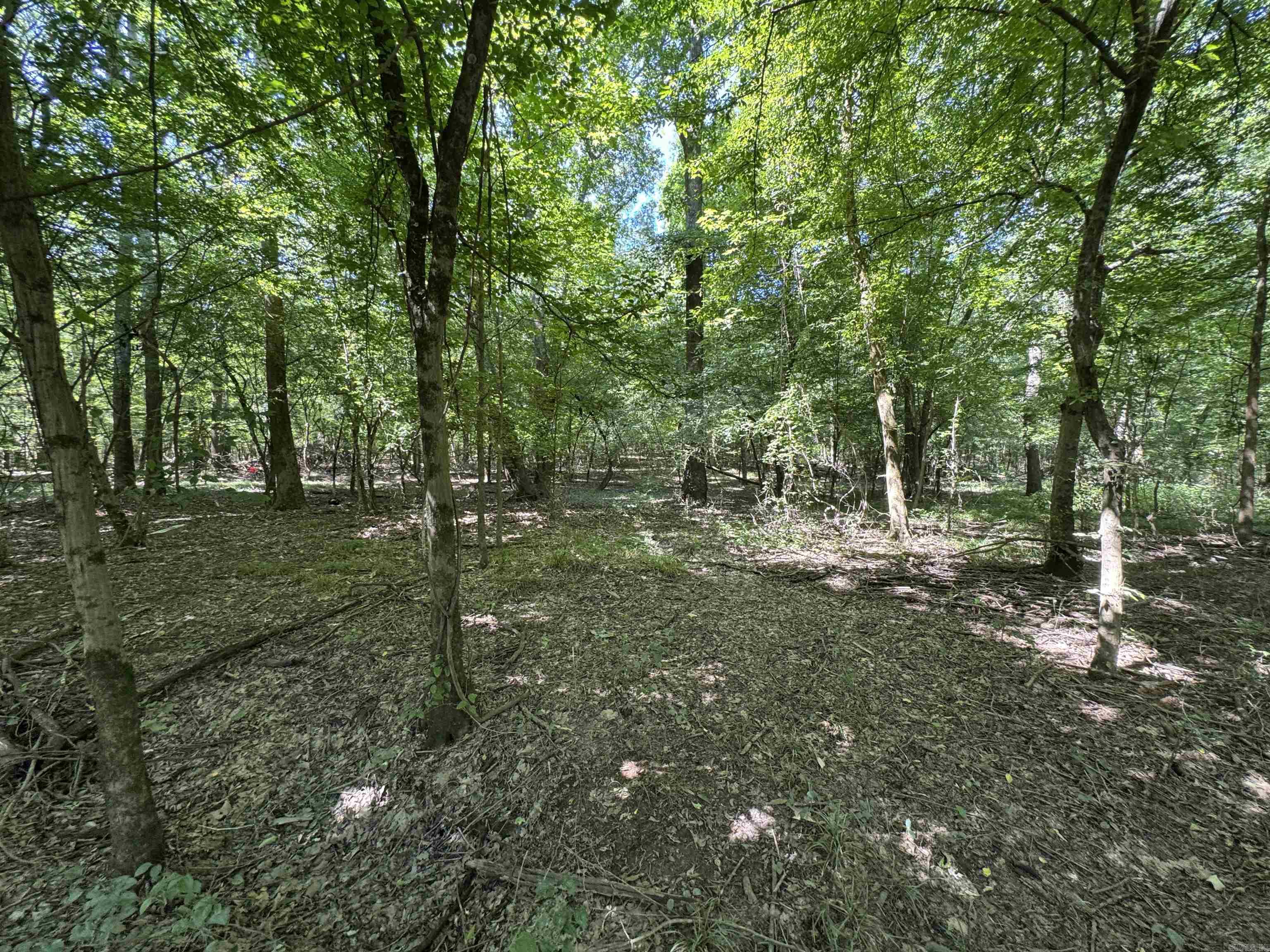 Tract 1 Waterside Drive