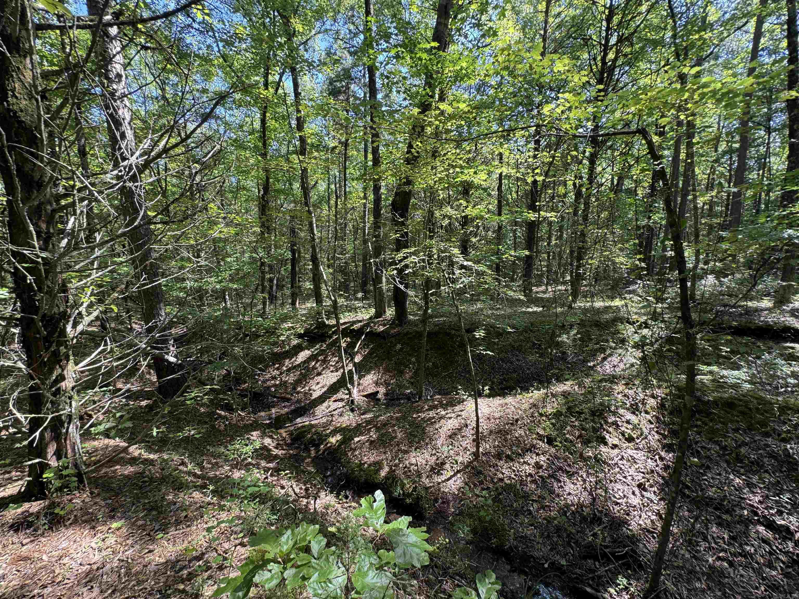 Tract 1 Waterside Drive