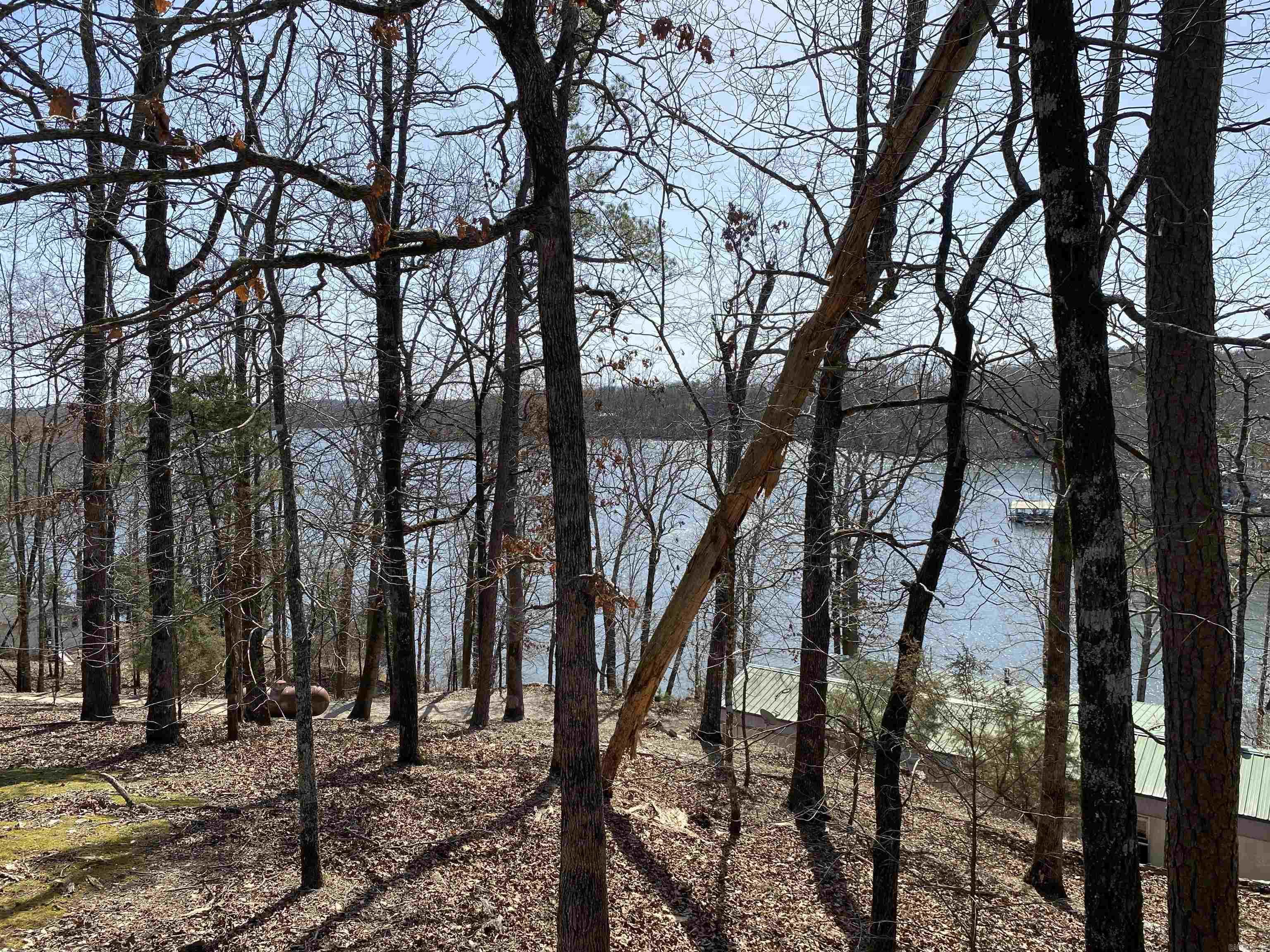 17300 Cabes Point Road