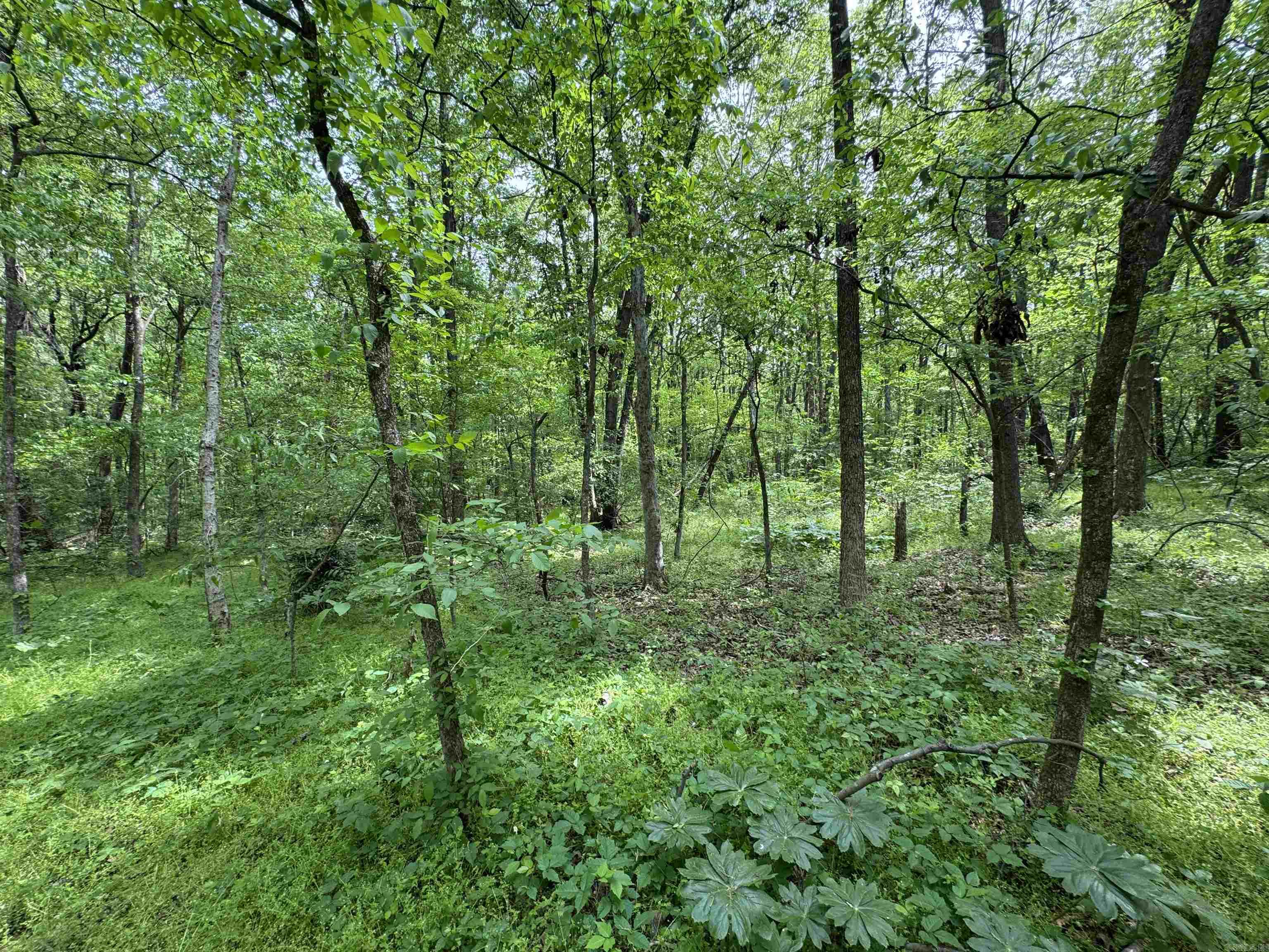 Tract 1 East Bay Road