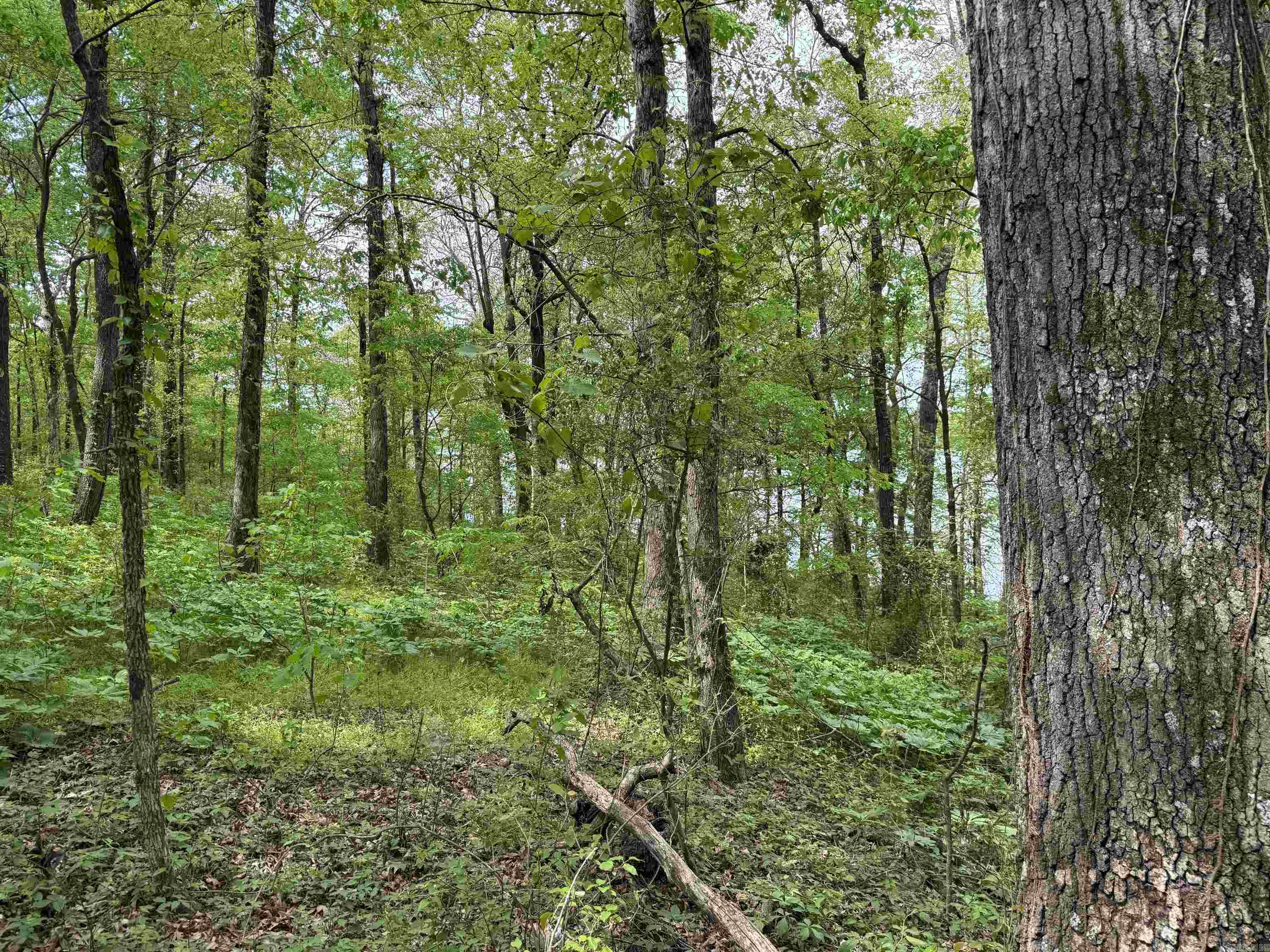 Tract 1 East Bay Road