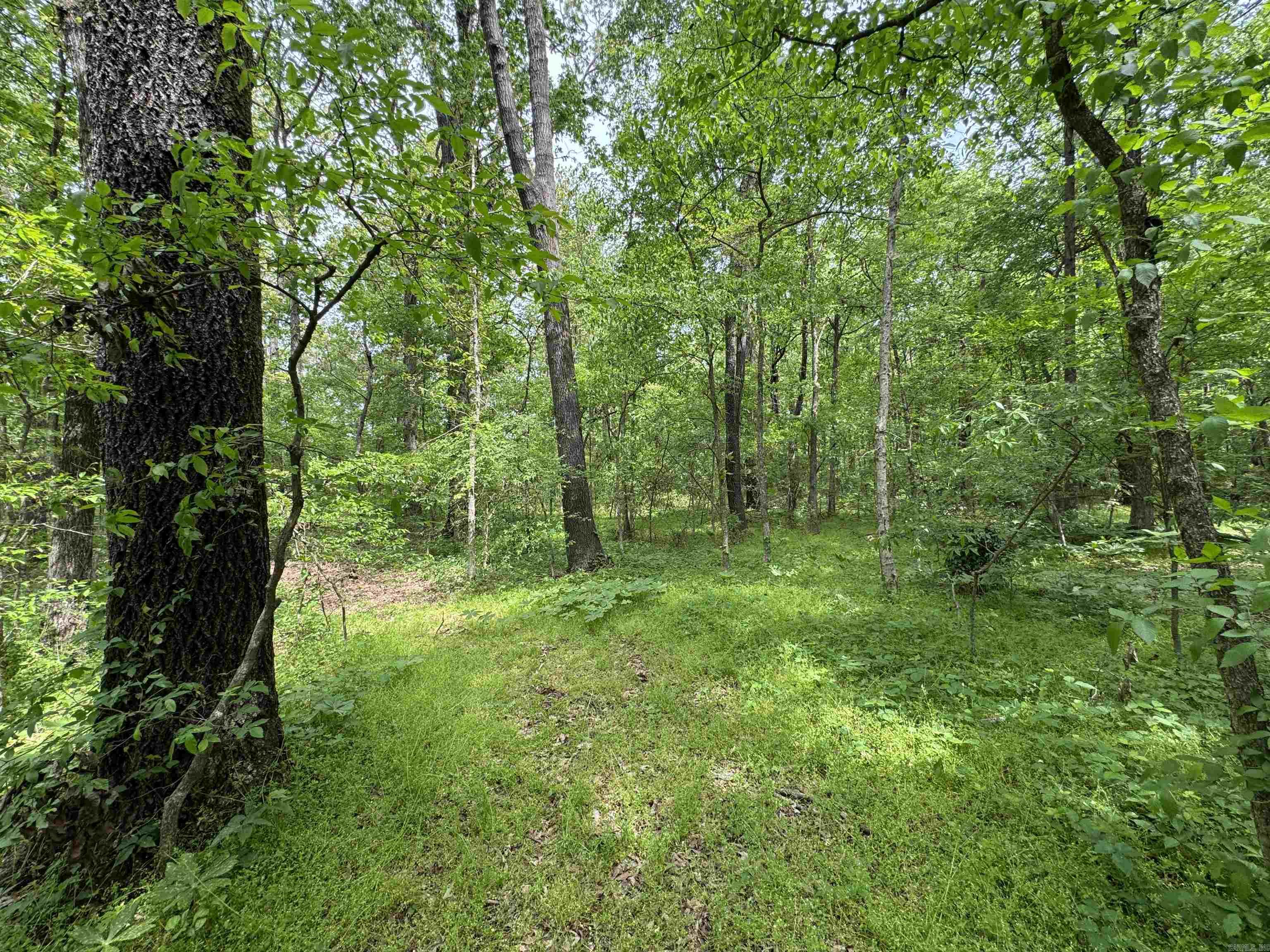 Tract 1 East Bay Road