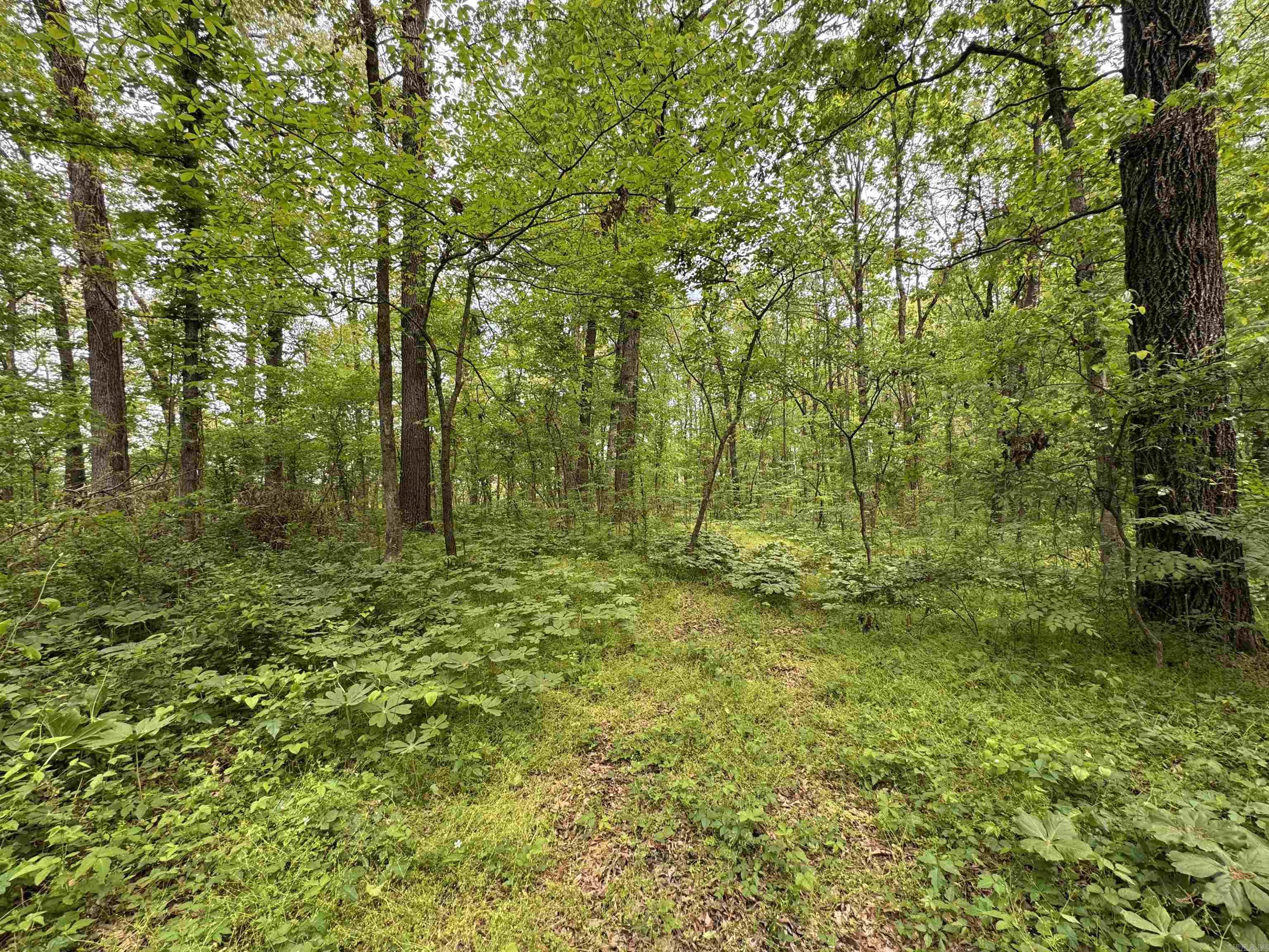 Tract 1 East Bay Road