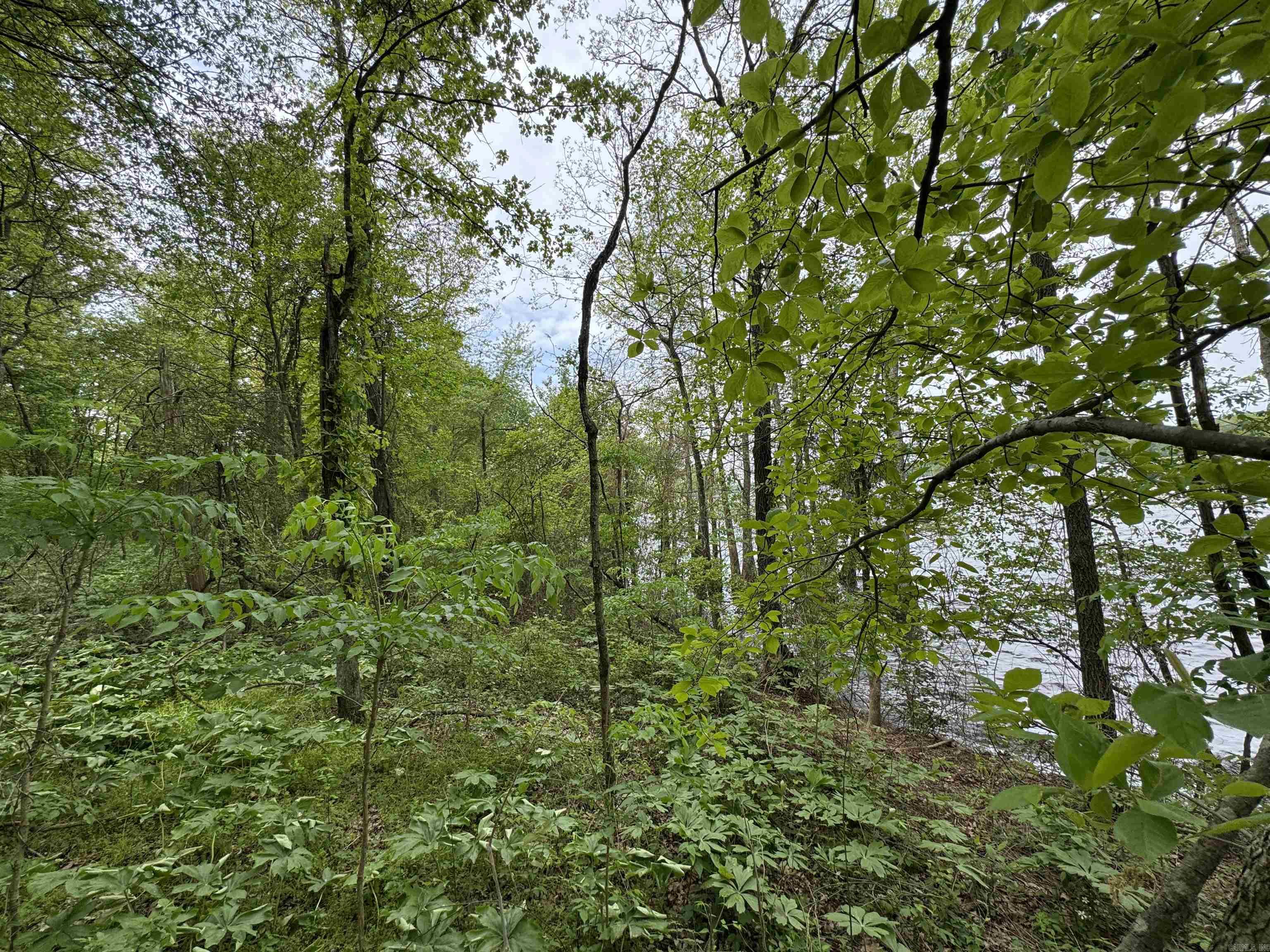 Tract 1 East Bay Road