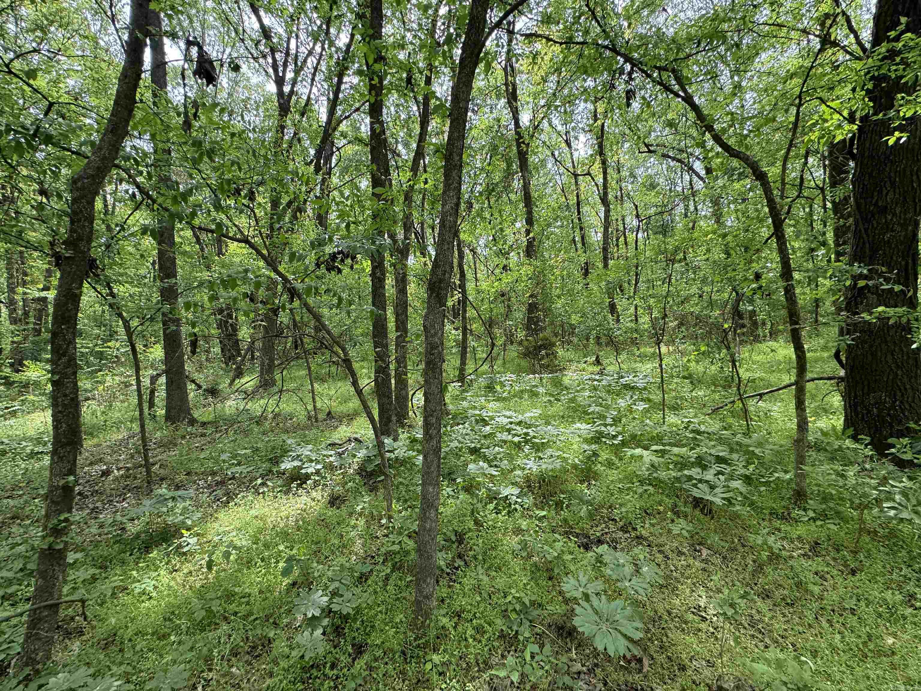 Tract 1 East Bay Road