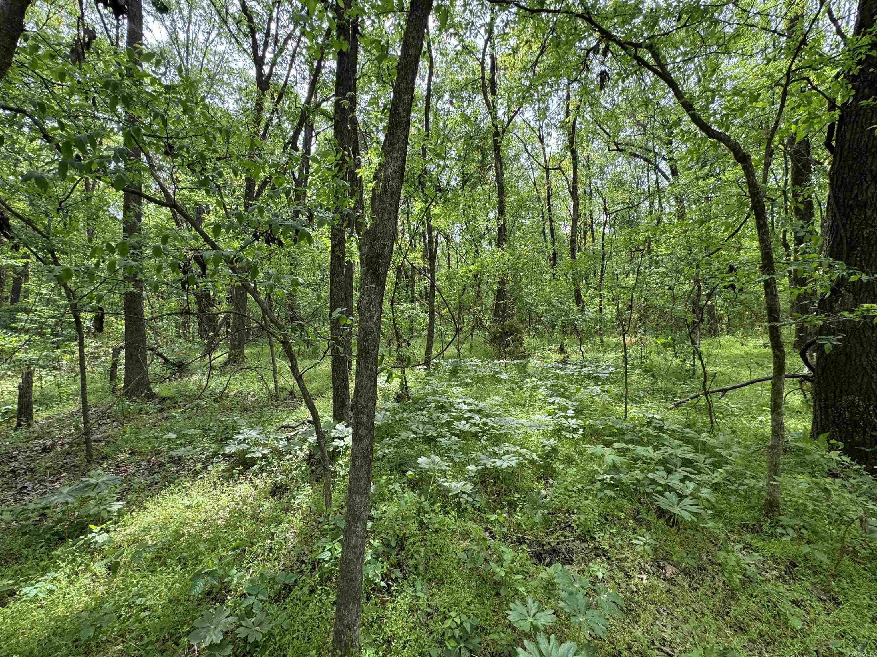 Tract 1 East Bay Road