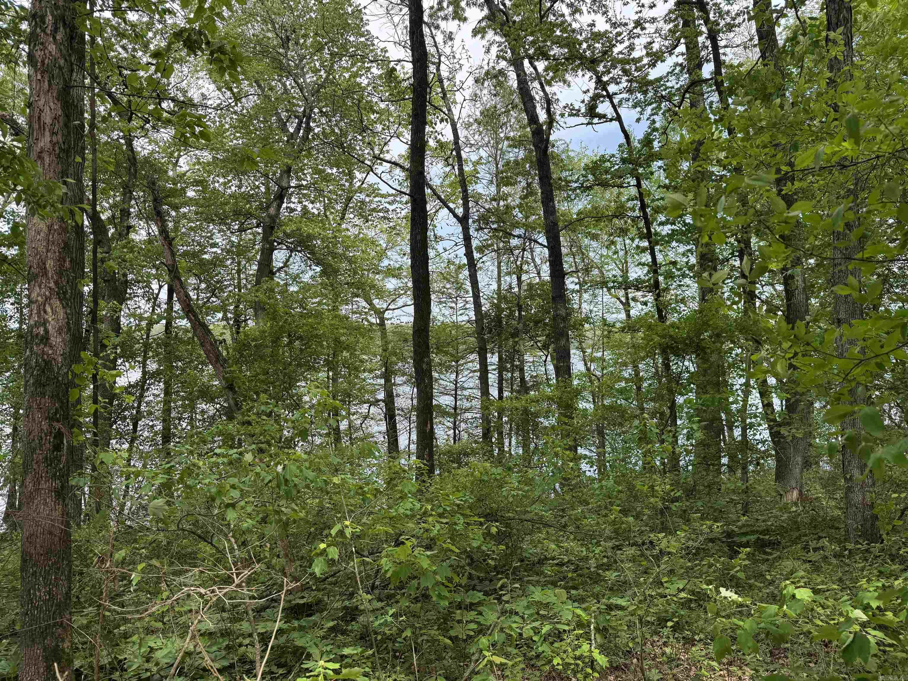 Tract 1 East Bay Road