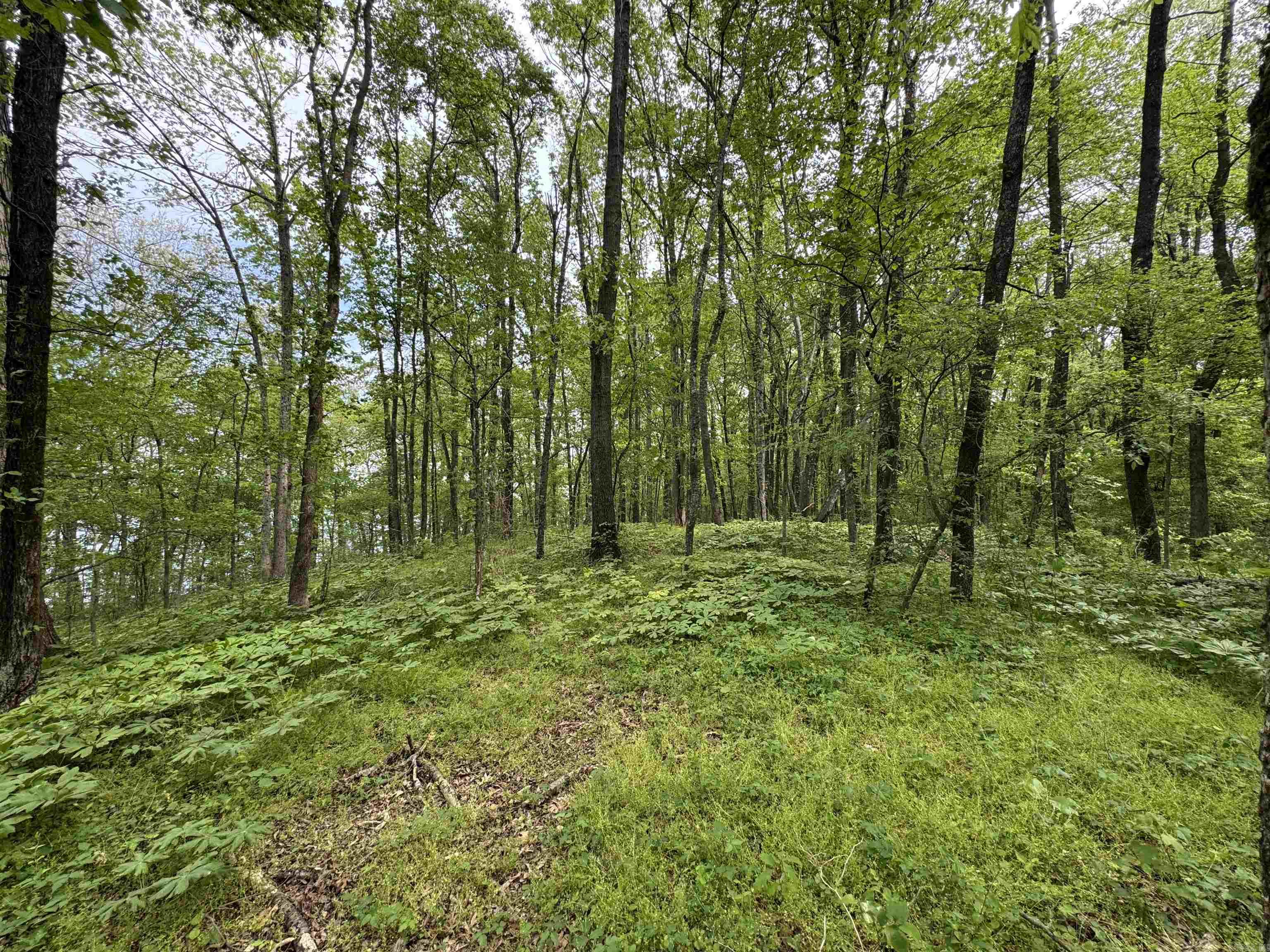 Tract 1 East Bay Road