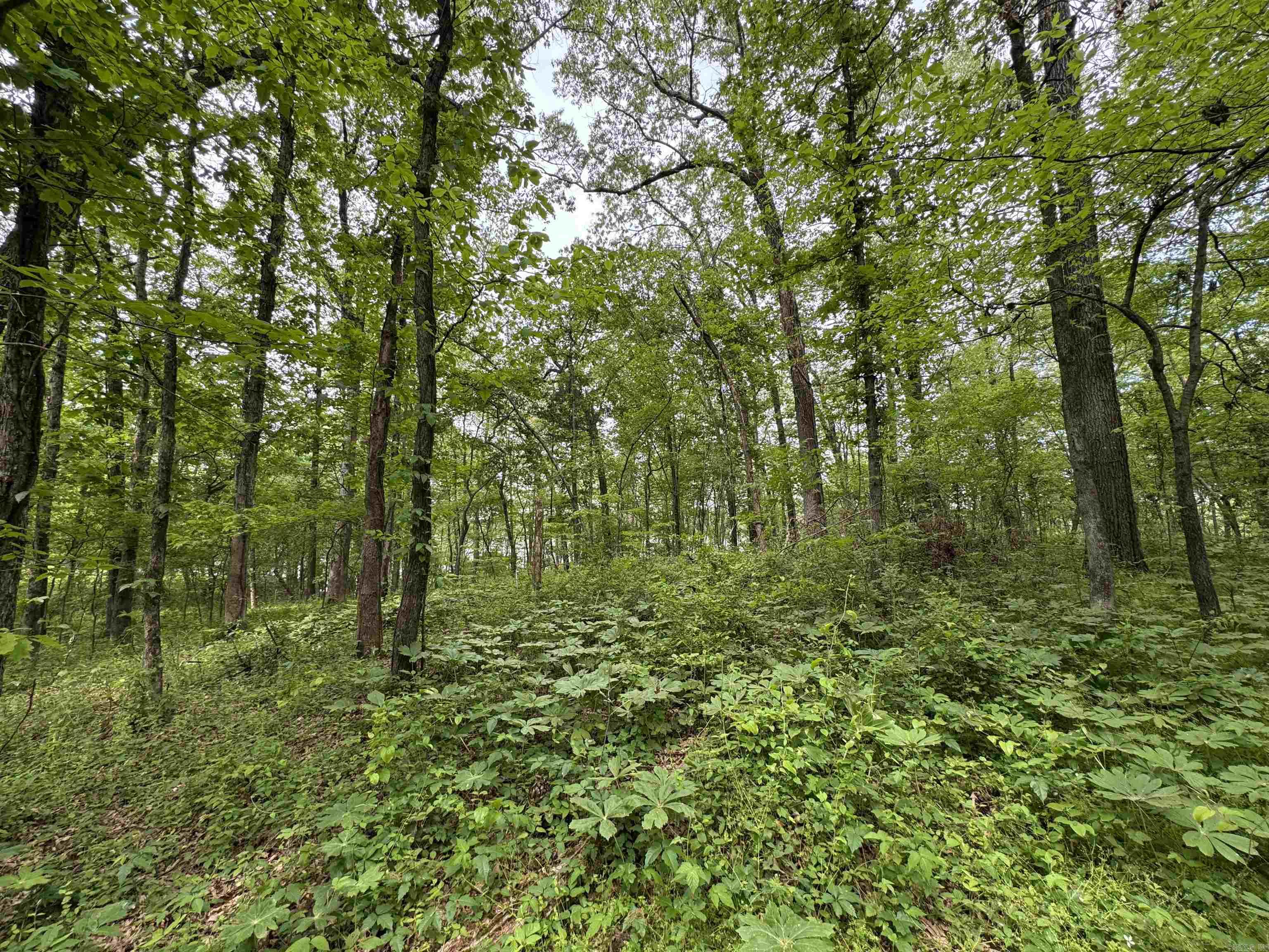 Tract 1 East Bay Road
