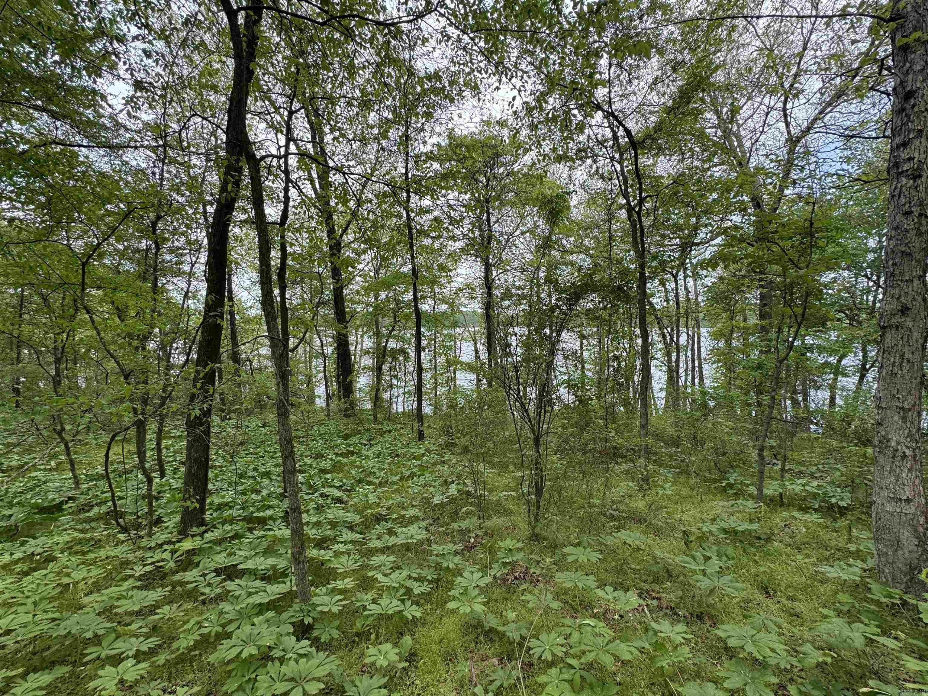Tract 1 East Bay Road