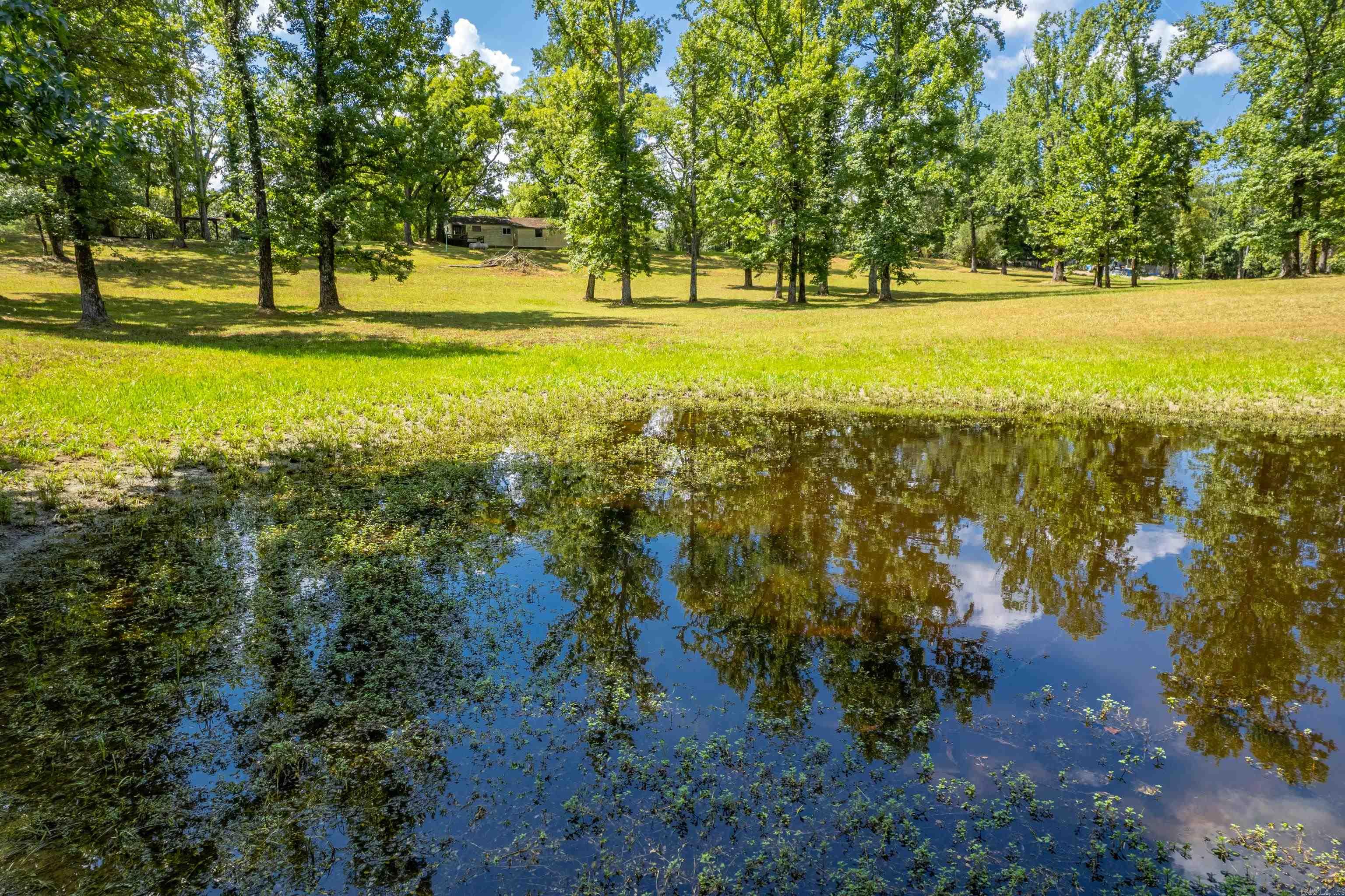 256 Forest Ridge Rd Road