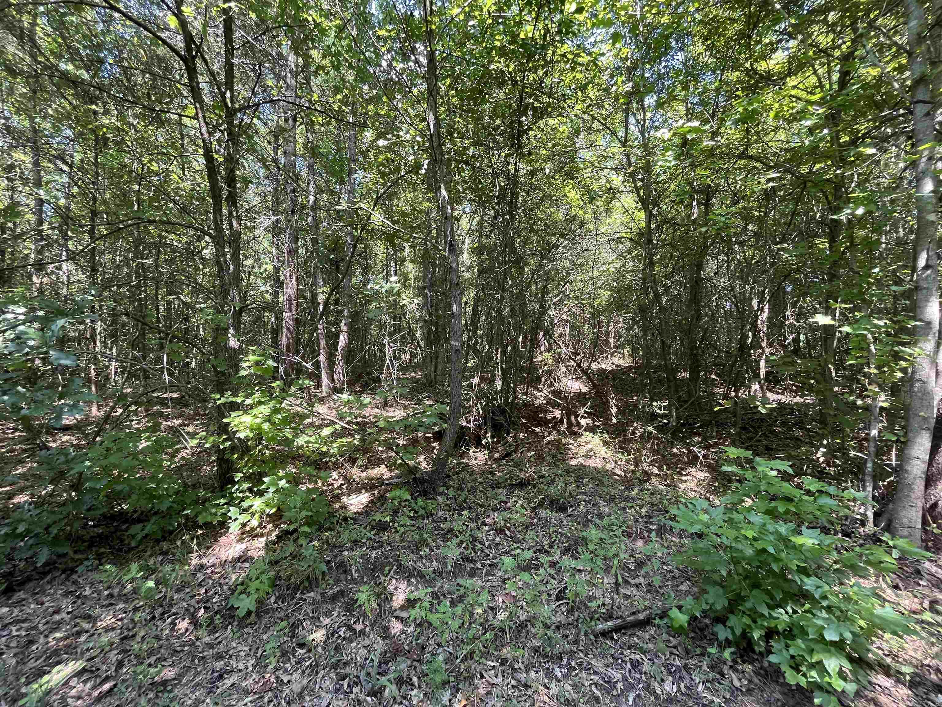 179 Little River 67 Road