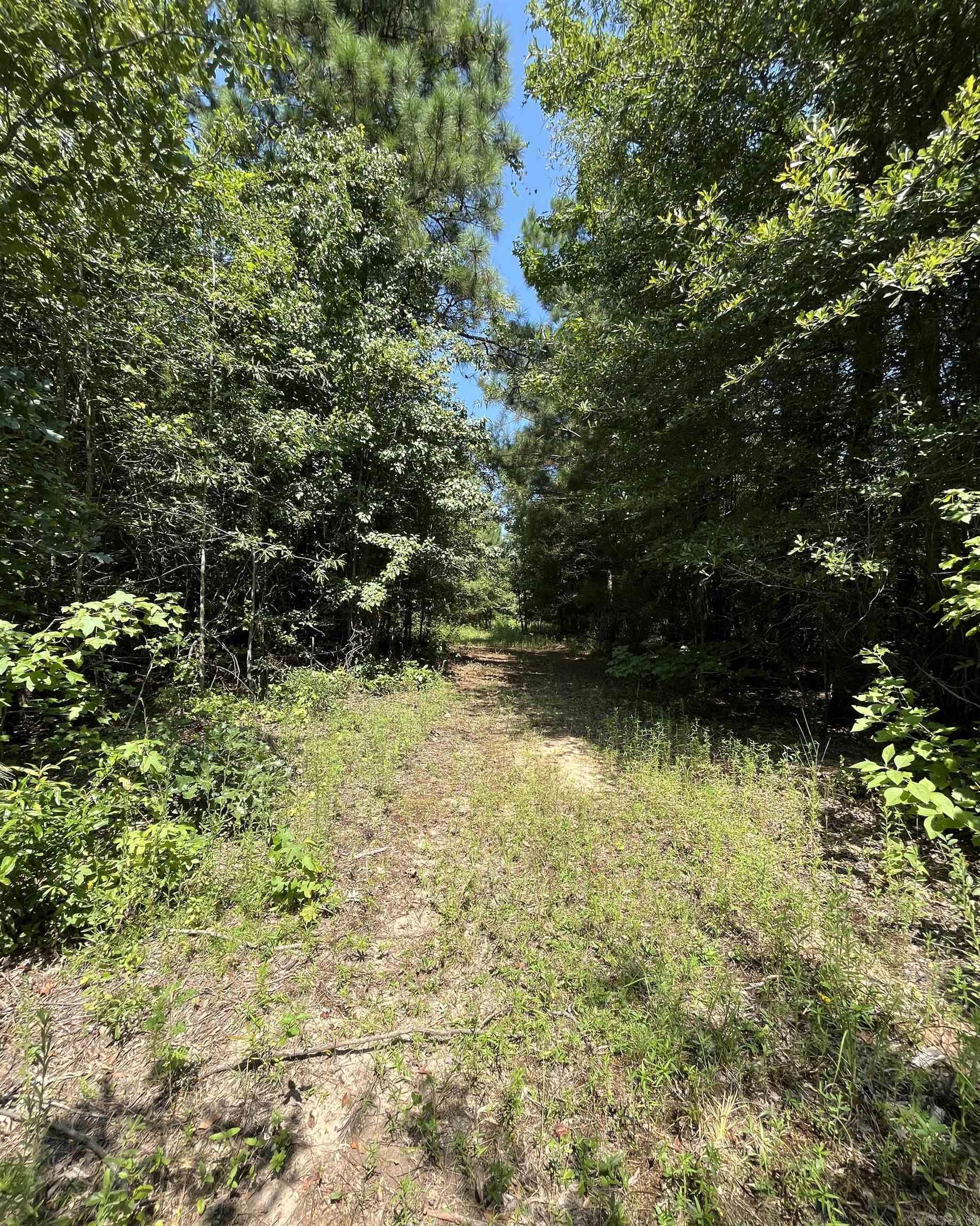 179 Little River 67 Road