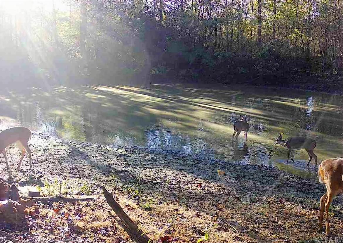 179 Little River 67 Road