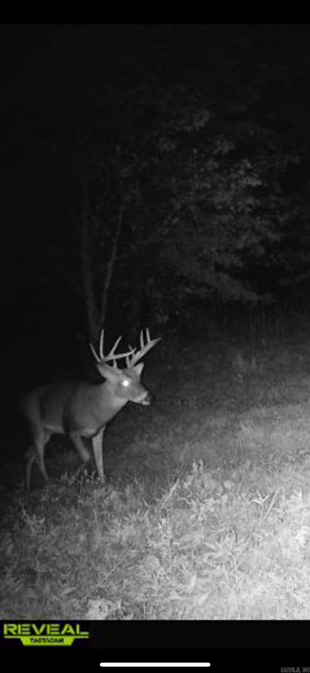 179 Little River 67 Road