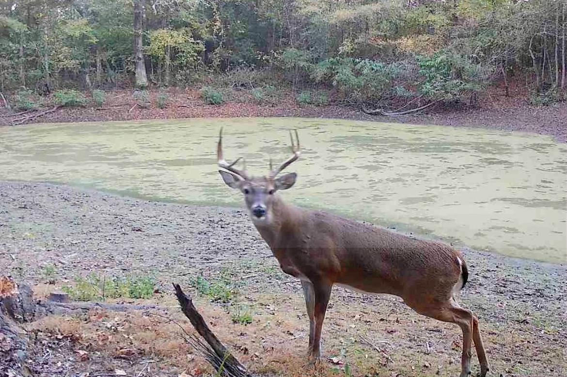 179 Little River 67 Road