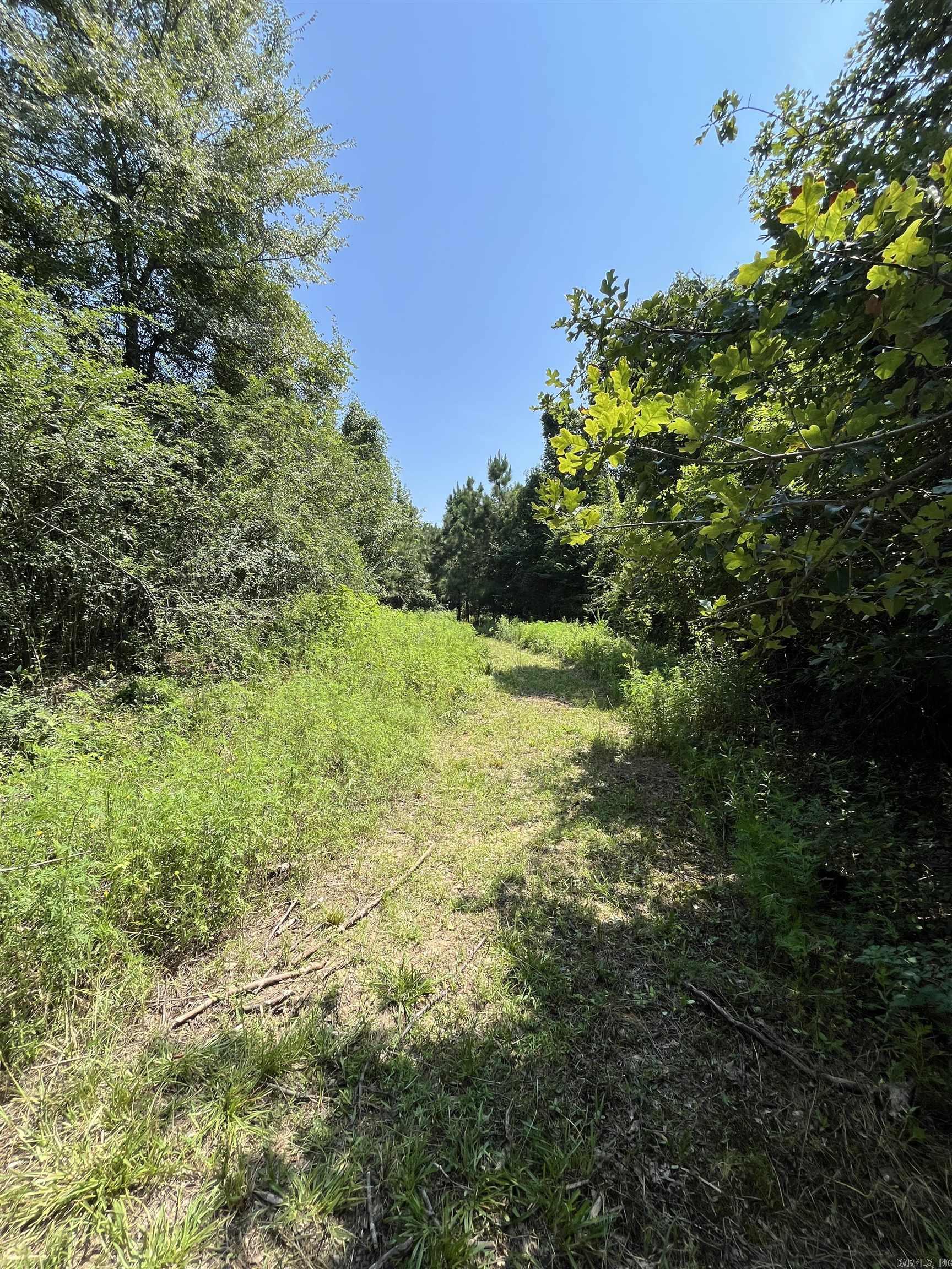 179 Little River 67 Road