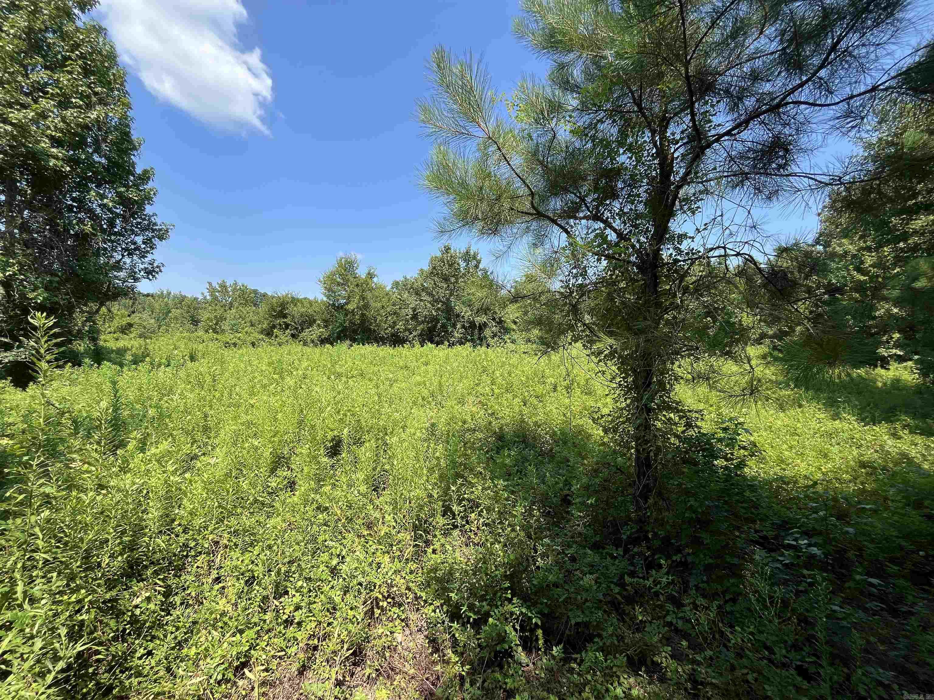 179 Little River 67 Road