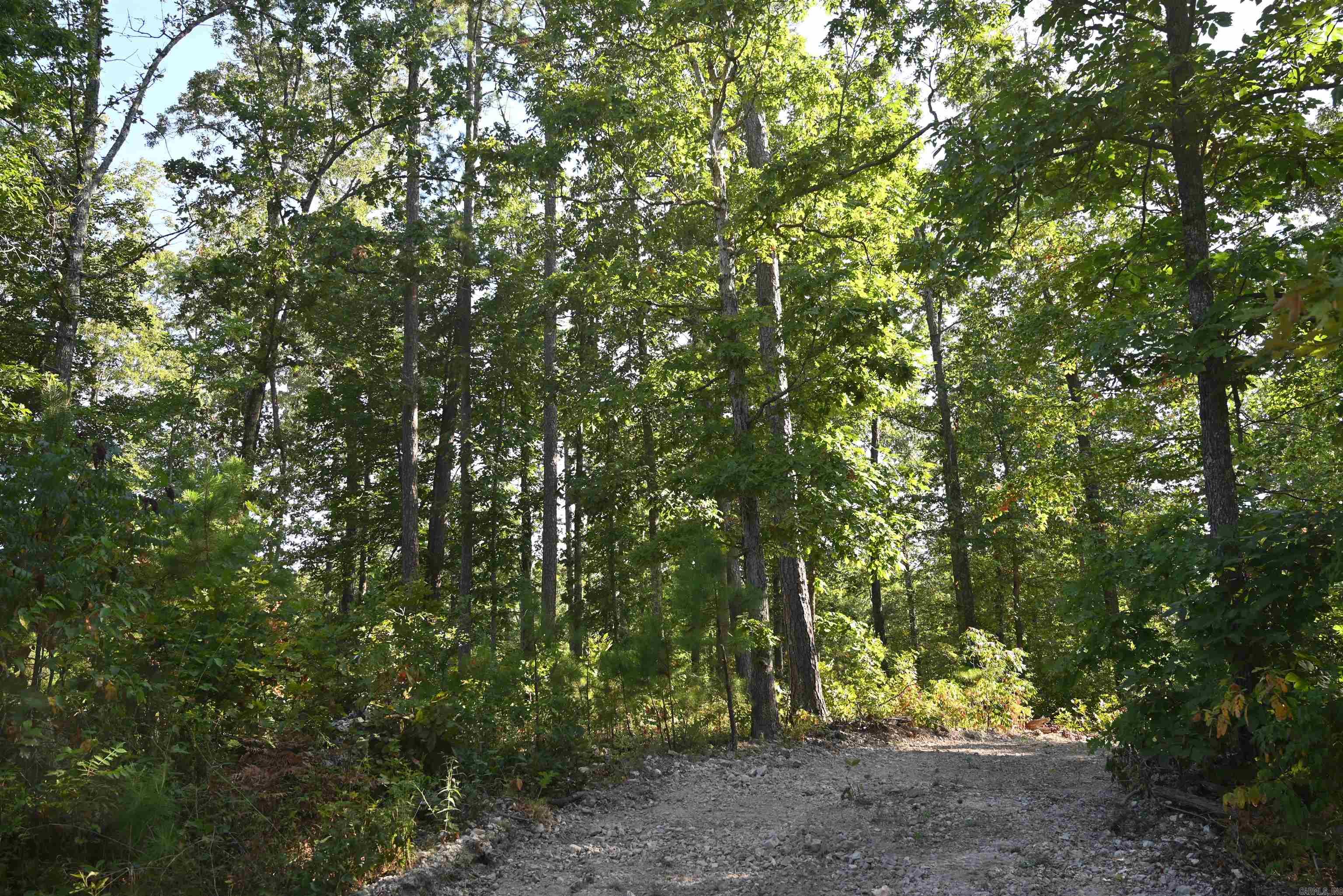 3875 Tomahawk Slab Road