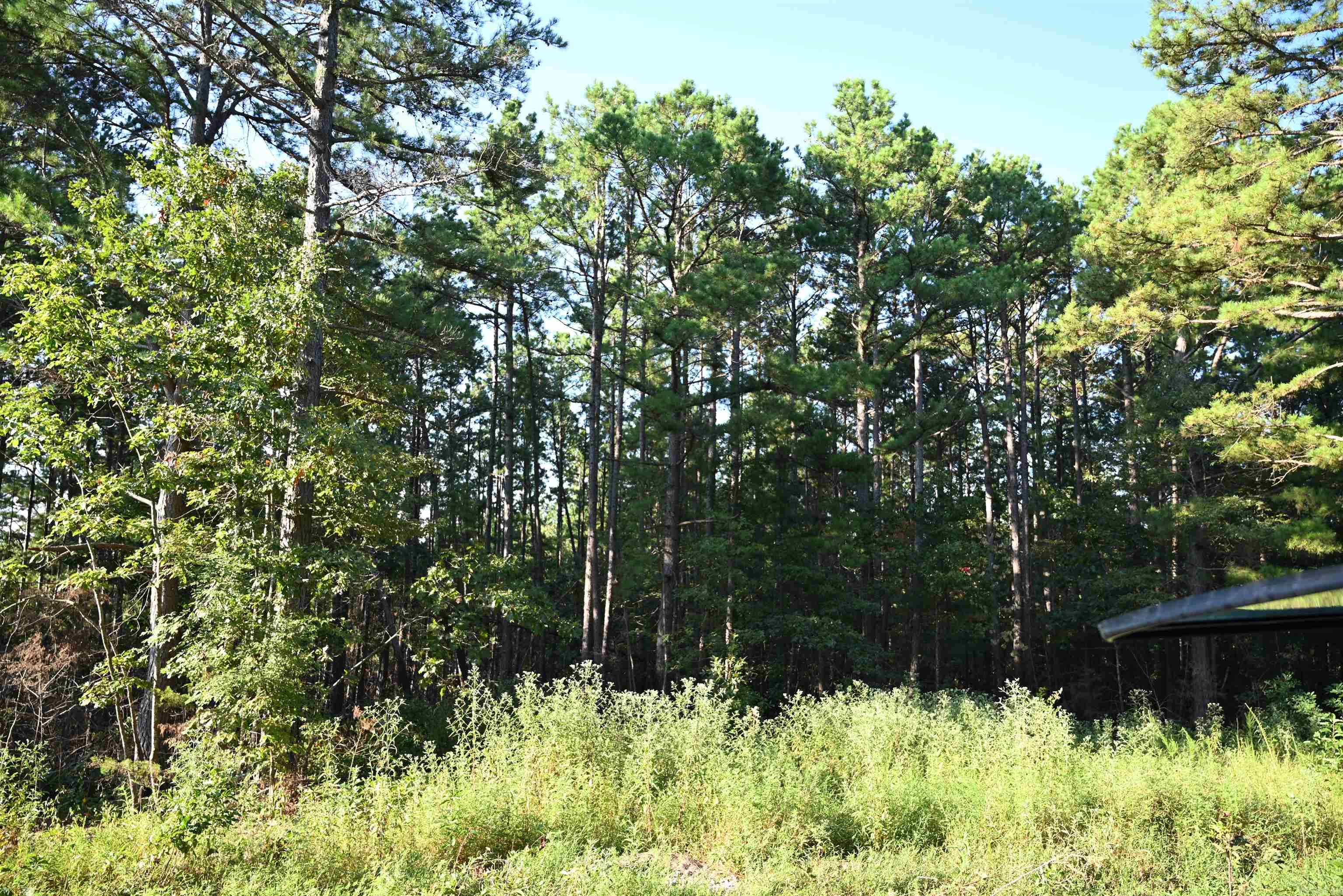 3875 Tomahawk Slab Road