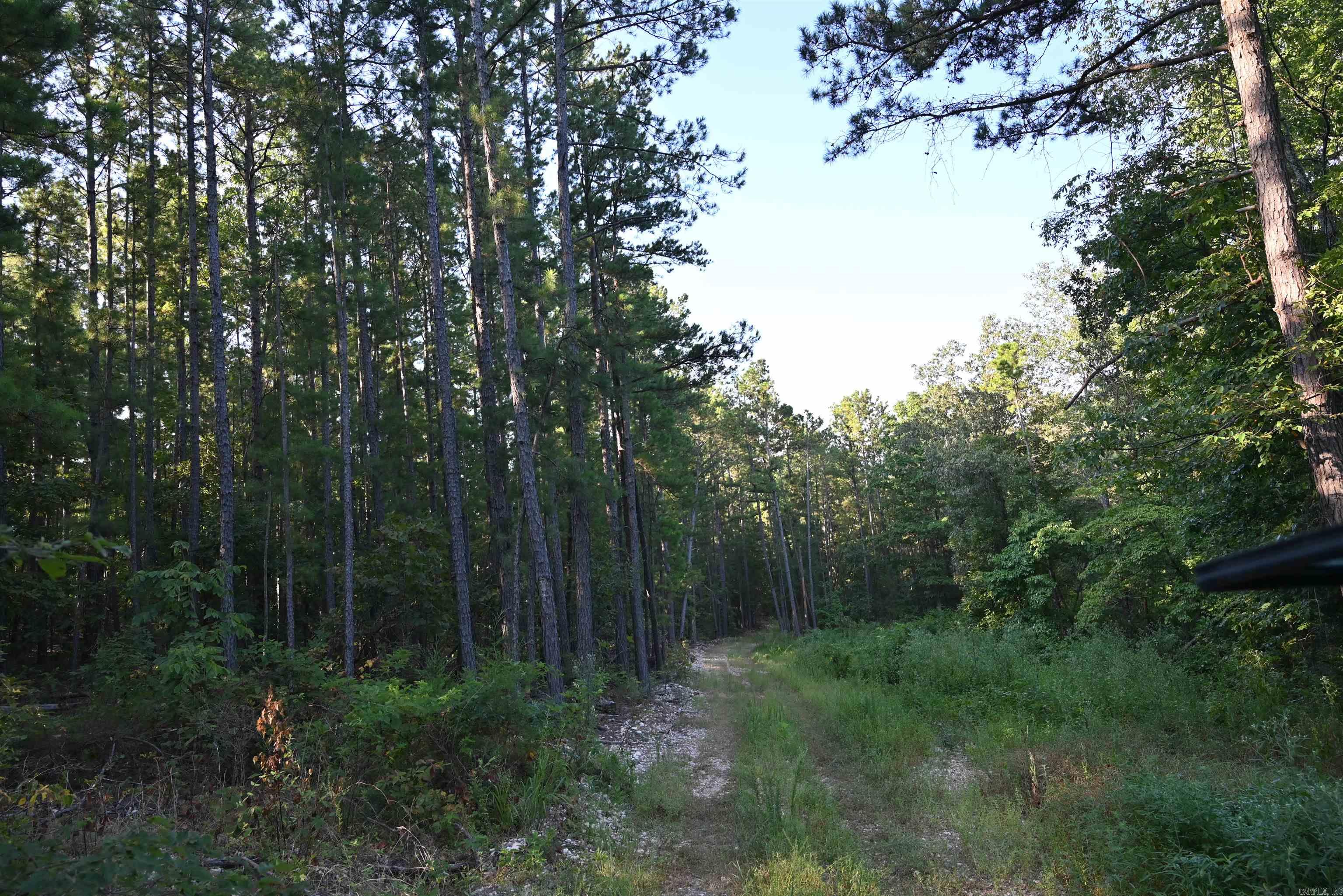 3875 Tomahawk Slab Road