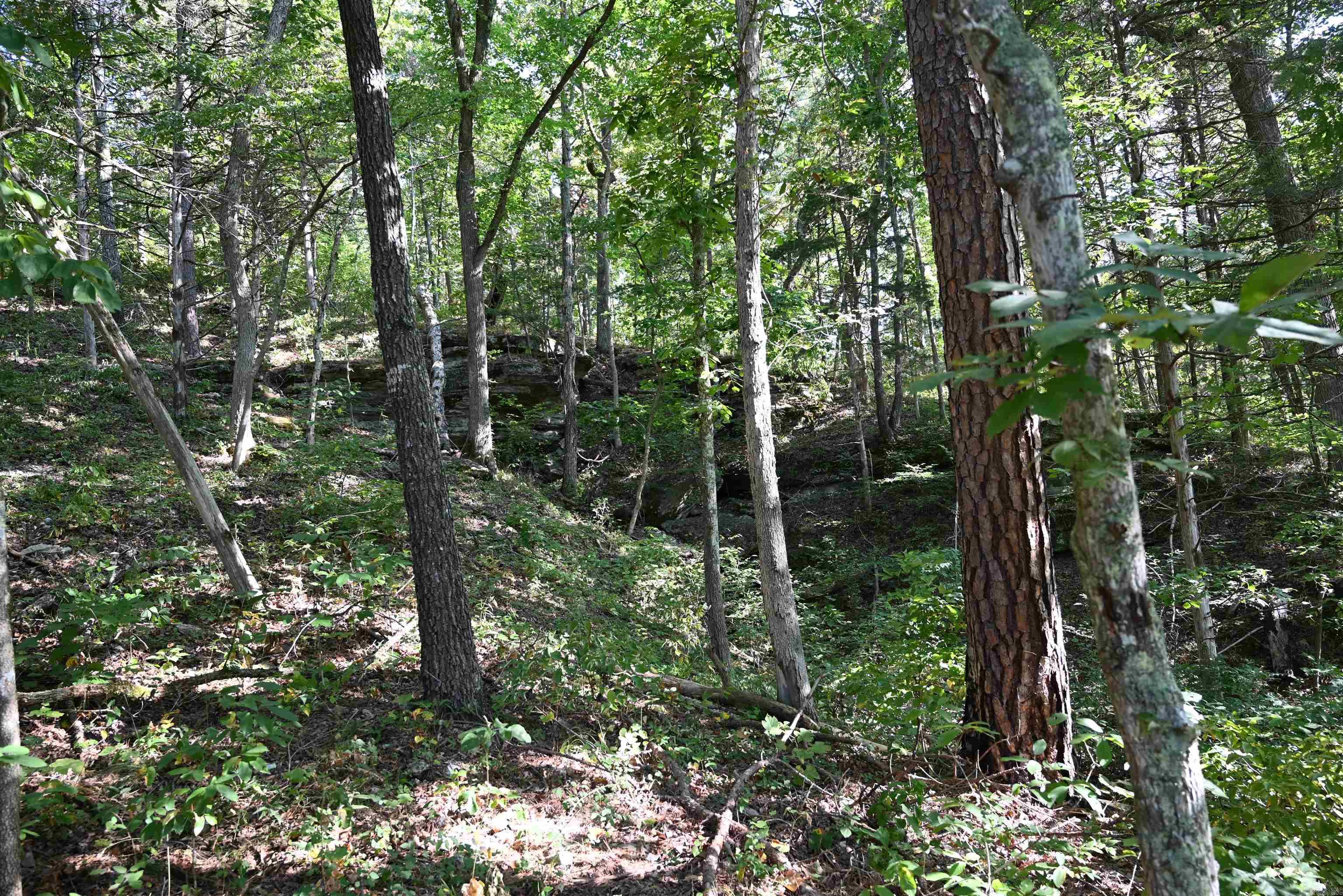 3875 Tomahawk Slab Road