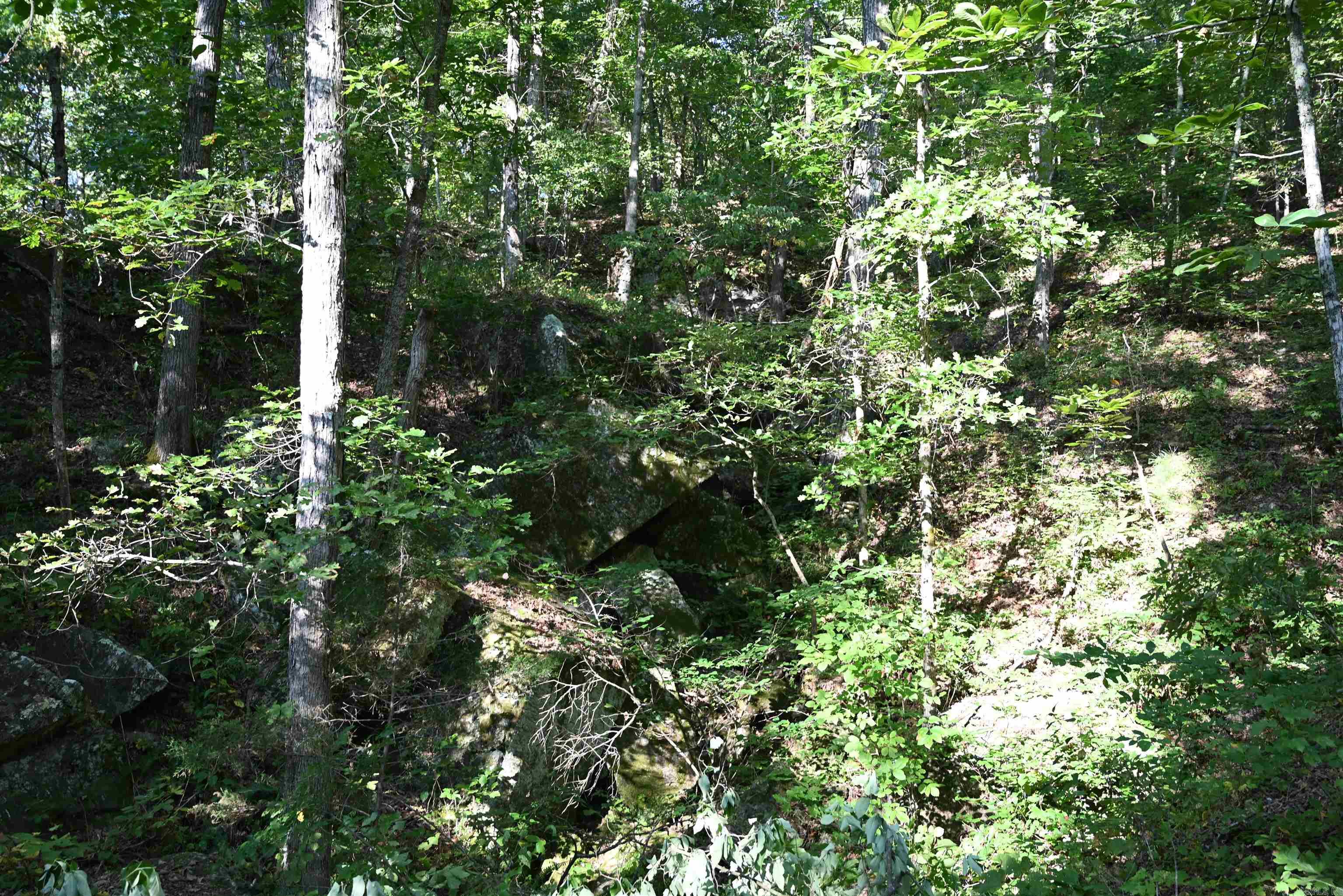 3875 Tomahawk Slab Road