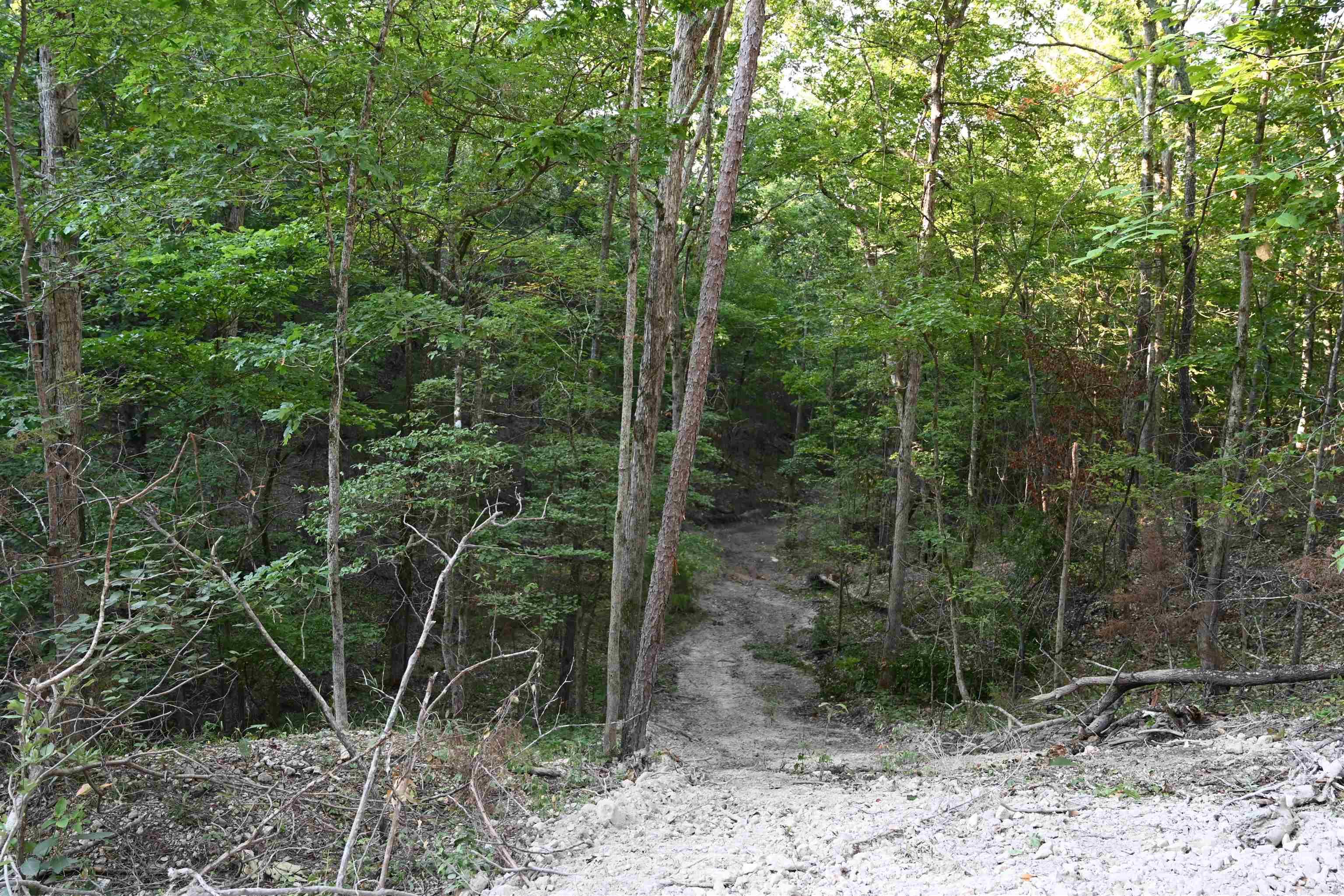 3875 Tomahawk Slab Road