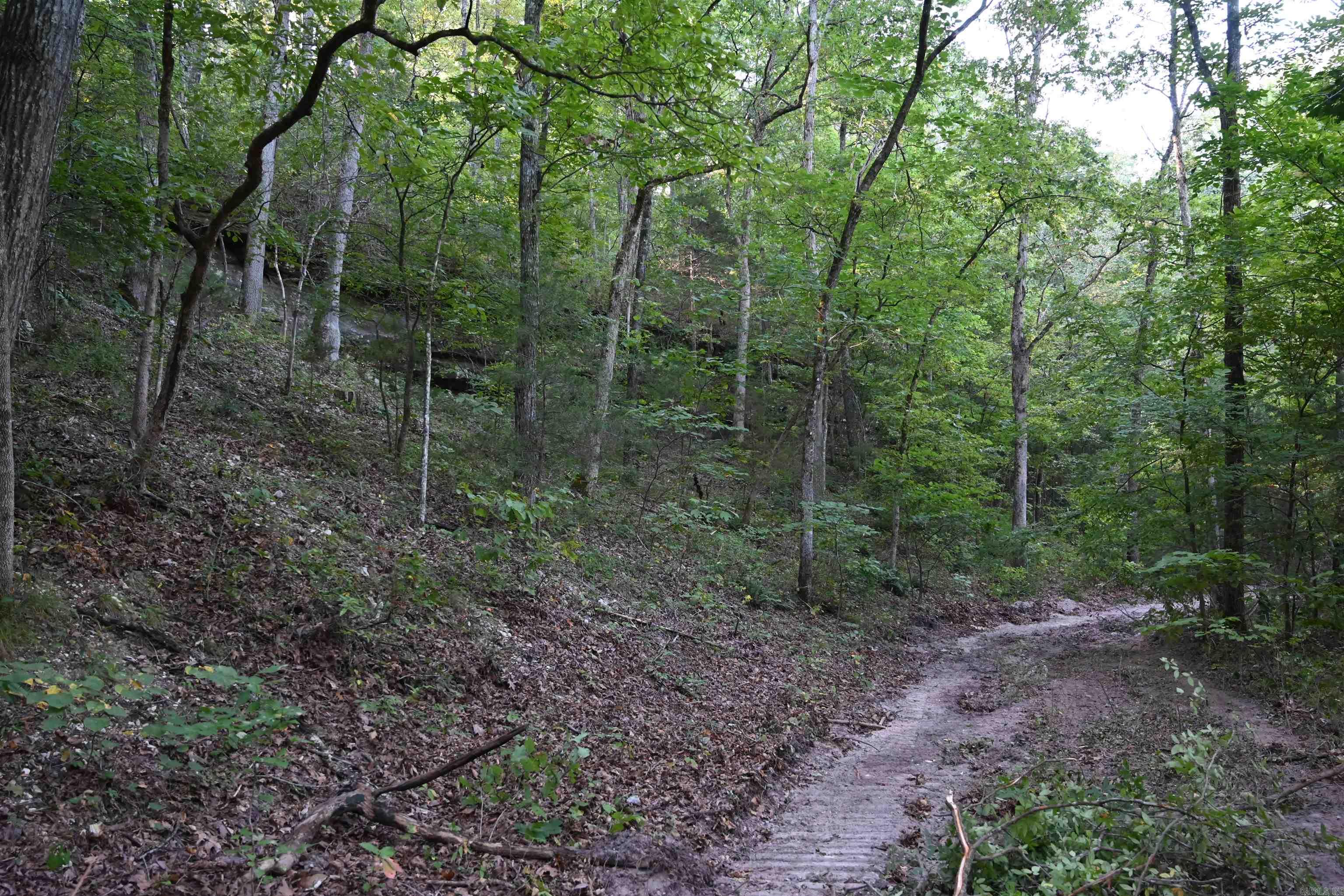 3875 Tomahawk Slab Road