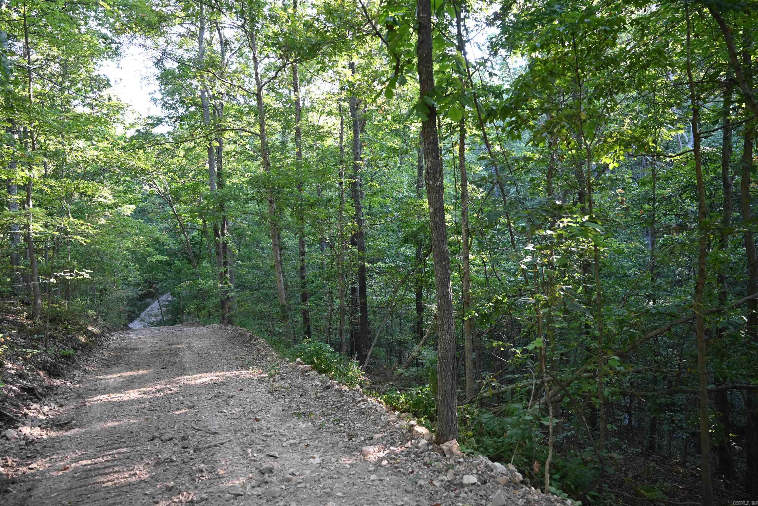 3875 Tomahawk Slab Road